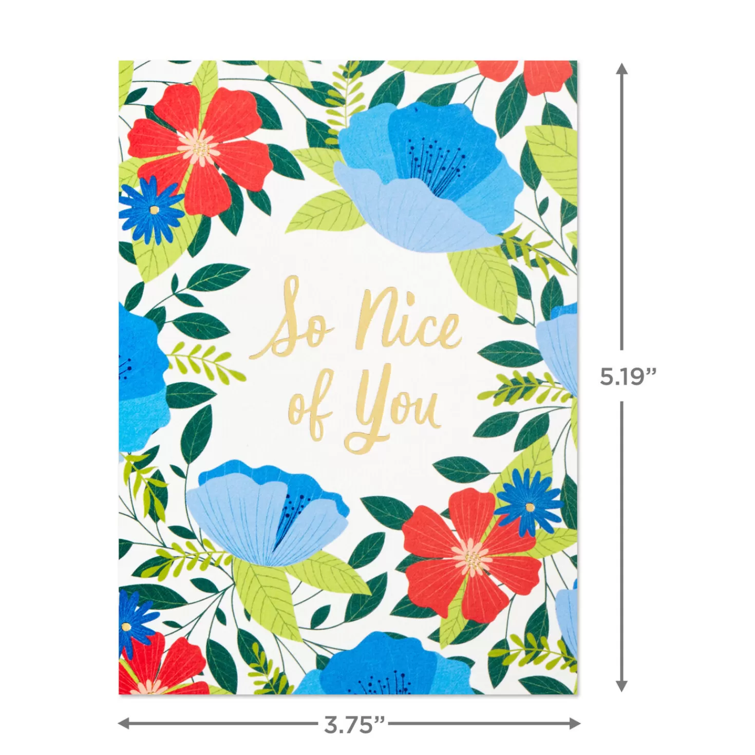 Hot Folk-Art Floral Assorted Blank Thank-You Notes, Box Of 36 Thank You