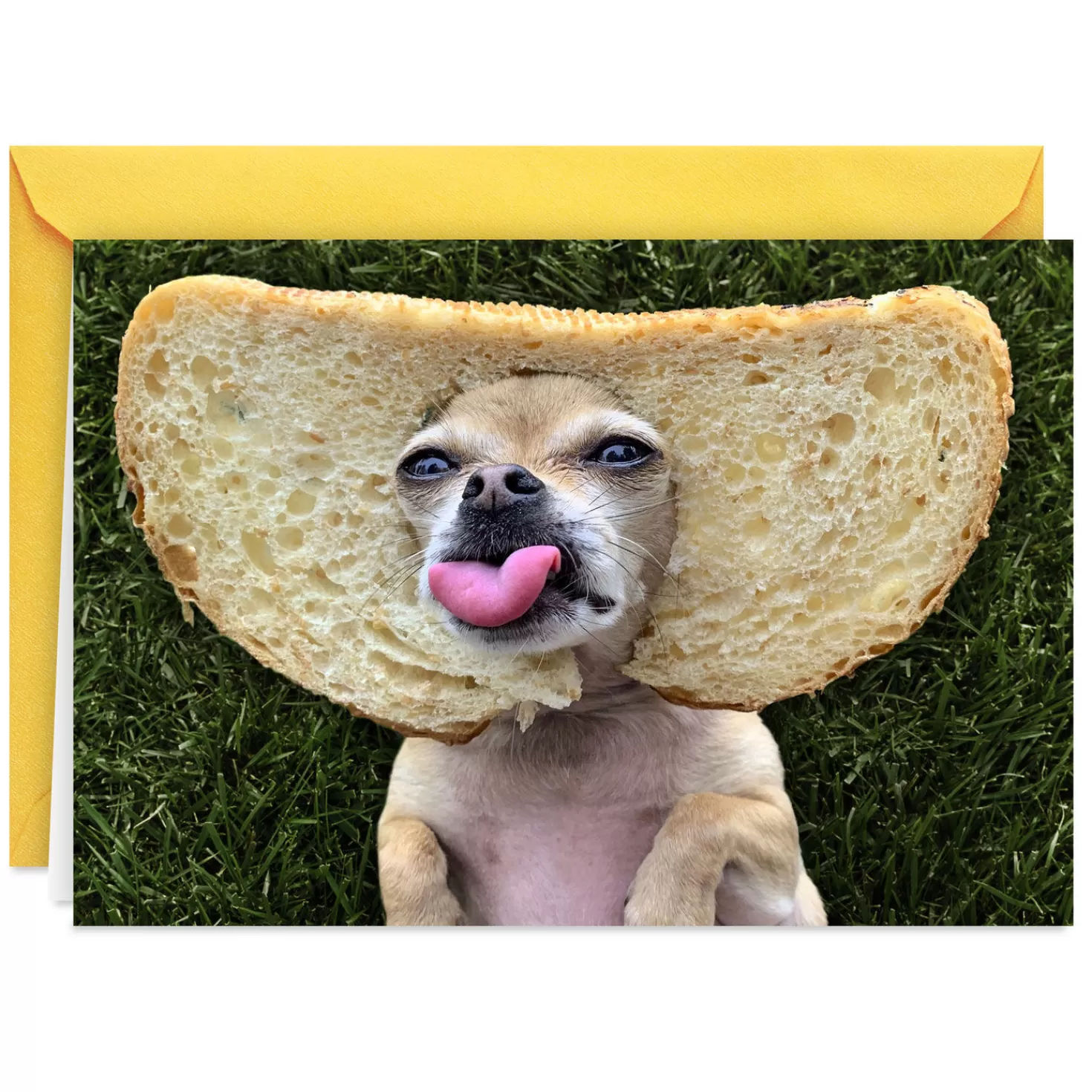 Hot Great Any Way You Slice It Funny Birthday Card Congratulations