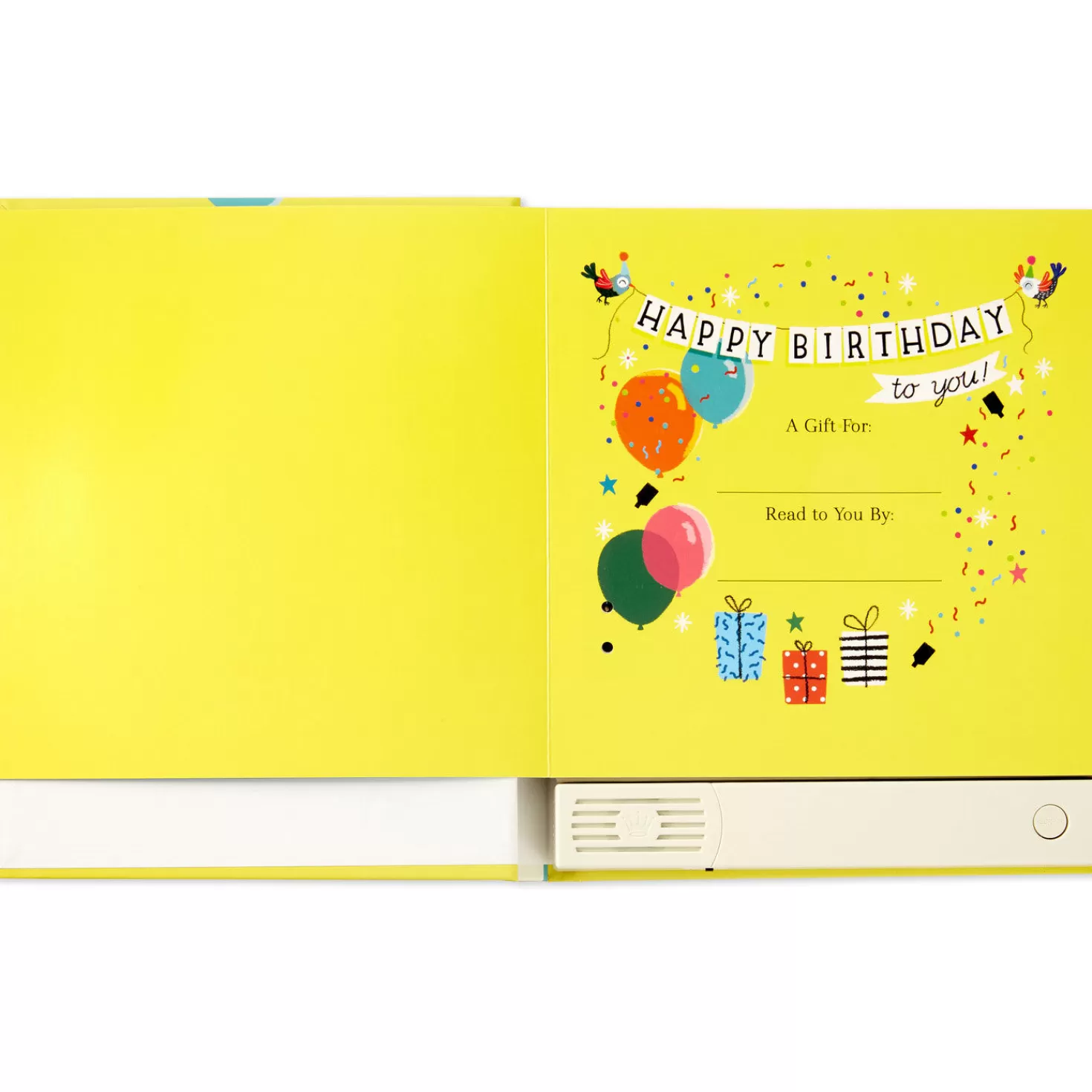 Birthday>Hallmark Happy Birthday To You! Recordable Storybook With Music