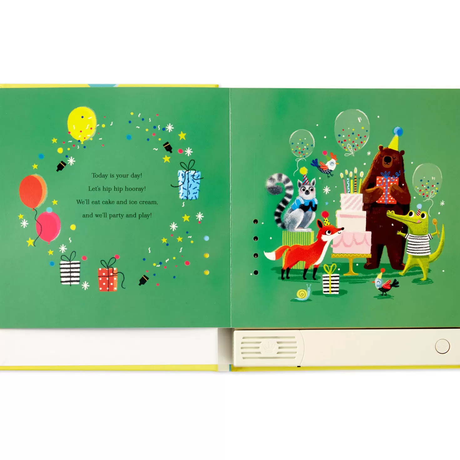 Birthday>Hallmark Happy Birthday To You! Recordable Storybook With Music