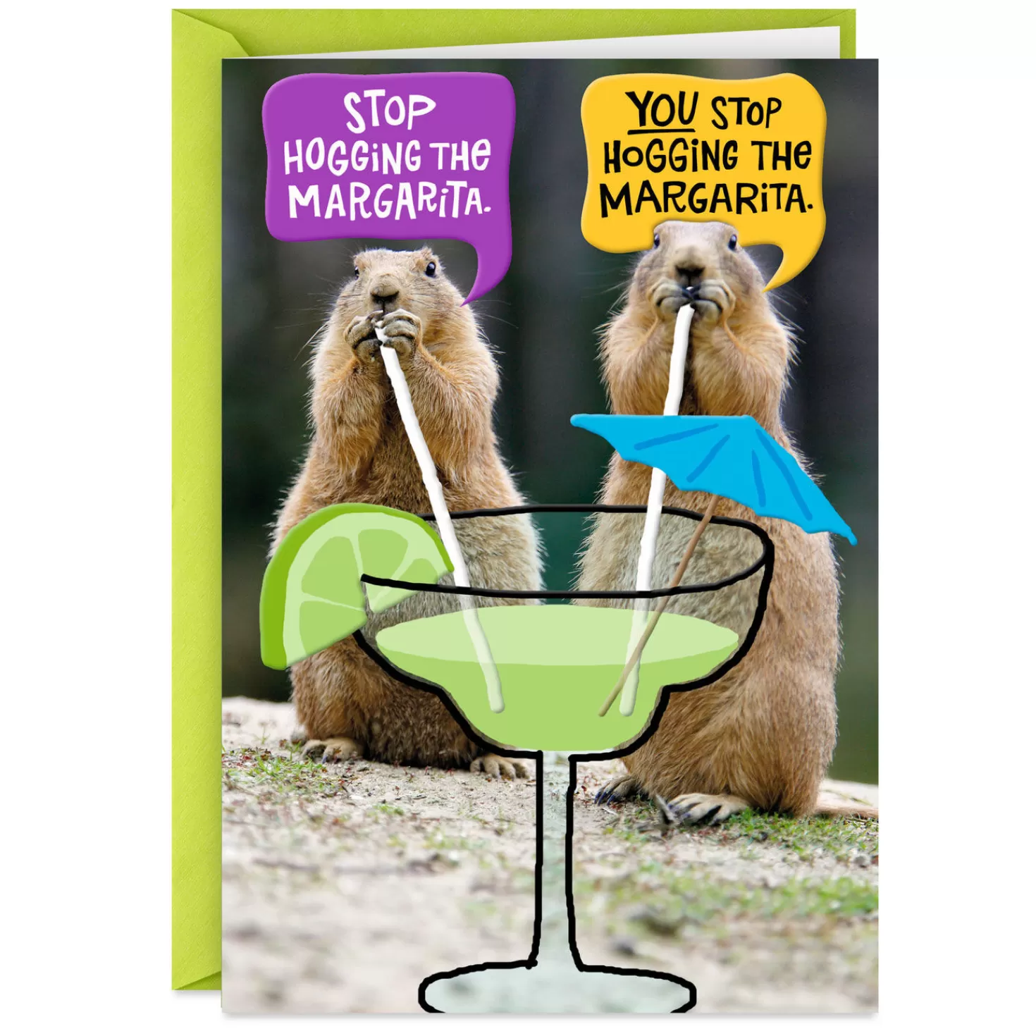 Birthday>Hallmark Hog The Margarita Funny Birthday Card