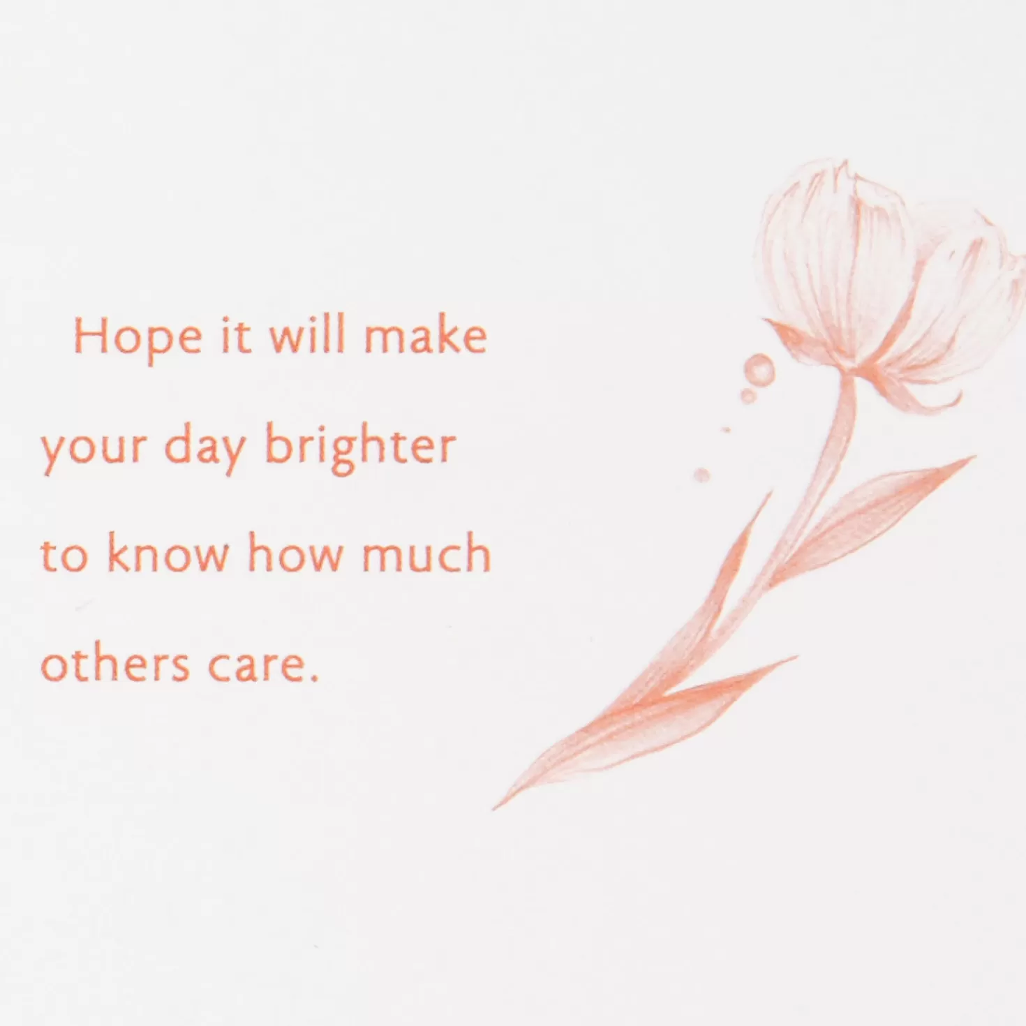 Discount Hoping To Brighten Your Day Encouragement Card Encouragement