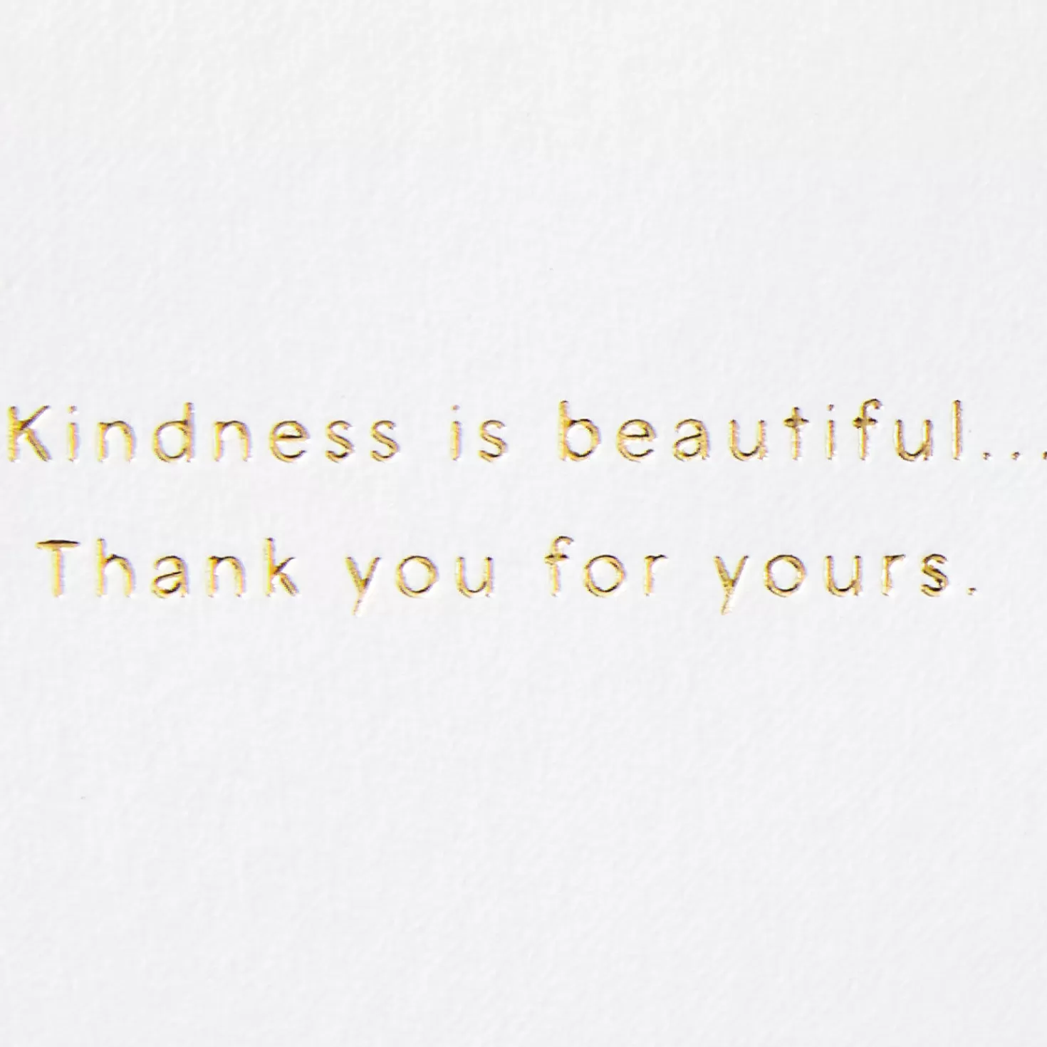 Outlet Kindness Is Beautiful Thank-You Card Thank You
