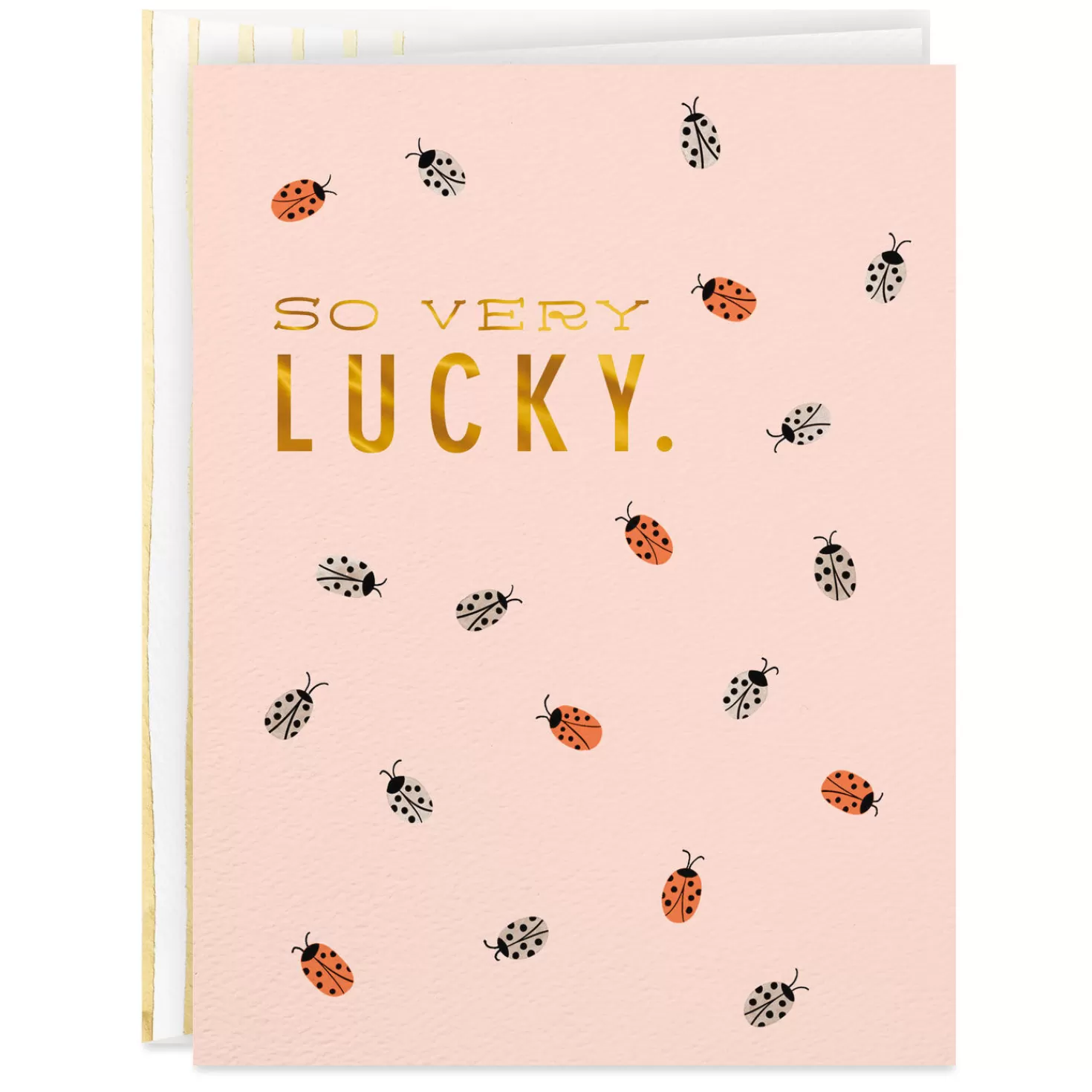 Best Sale Ladybugs So Very Lucky Card Thank You