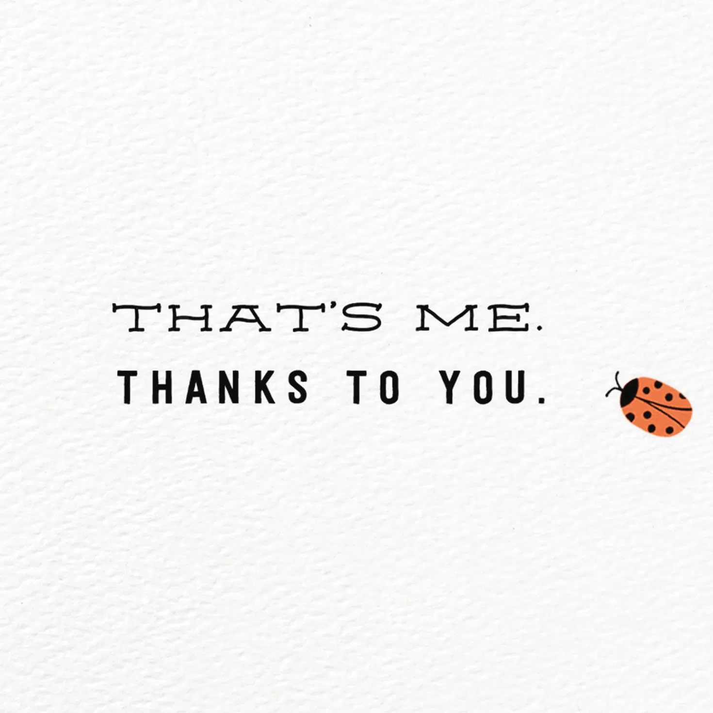 Best Sale Ladybugs So Very Lucky Card Thank You