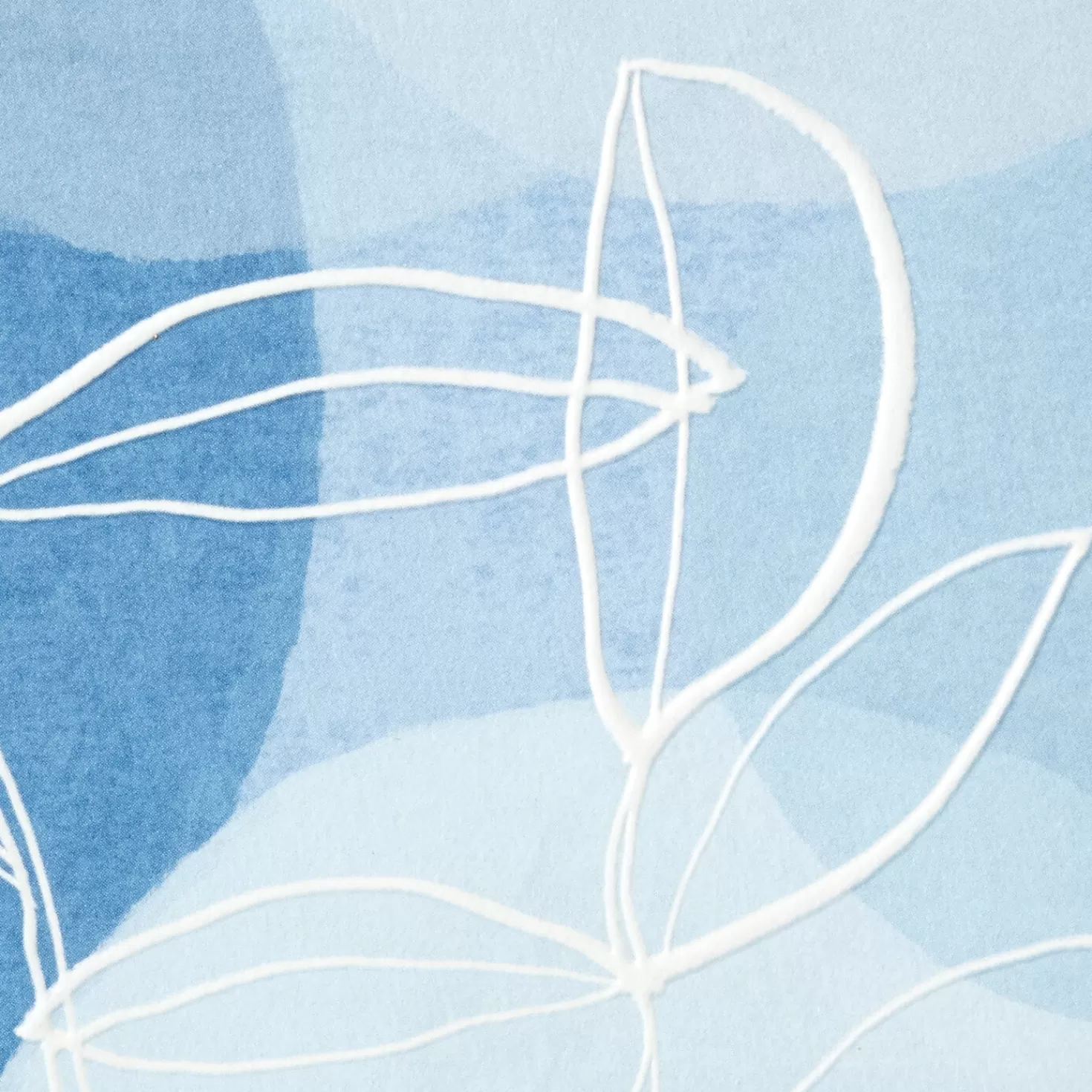 Online Leaf Outlines On Blue Blank Note Cards, Box Of 10 Thank You