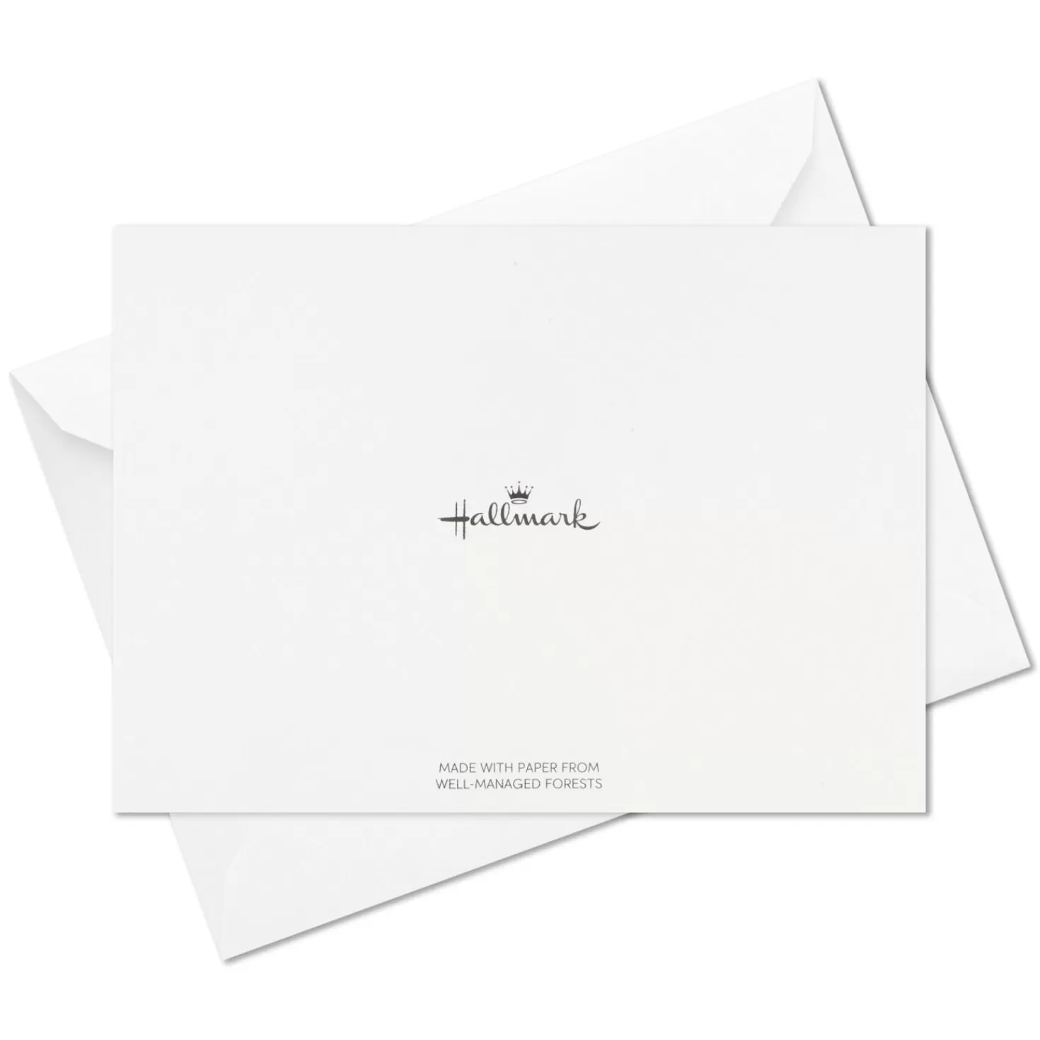 Online Leaf Outlines On Blue Blank Note Cards, Box Of 10 Thank You