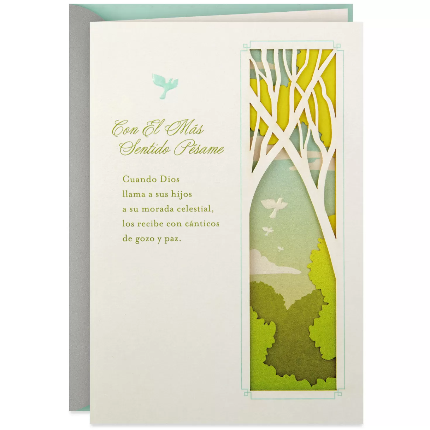 New Light And Comfort Spanish-Language Religious Sympathy Card Sympathy