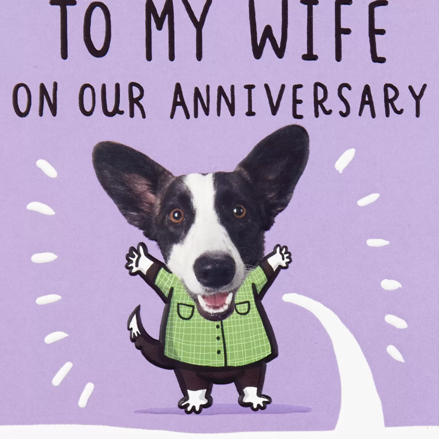 Anniversary>Hallmark Married To A Wonderful Person Funny Anniversary Card For Wife
