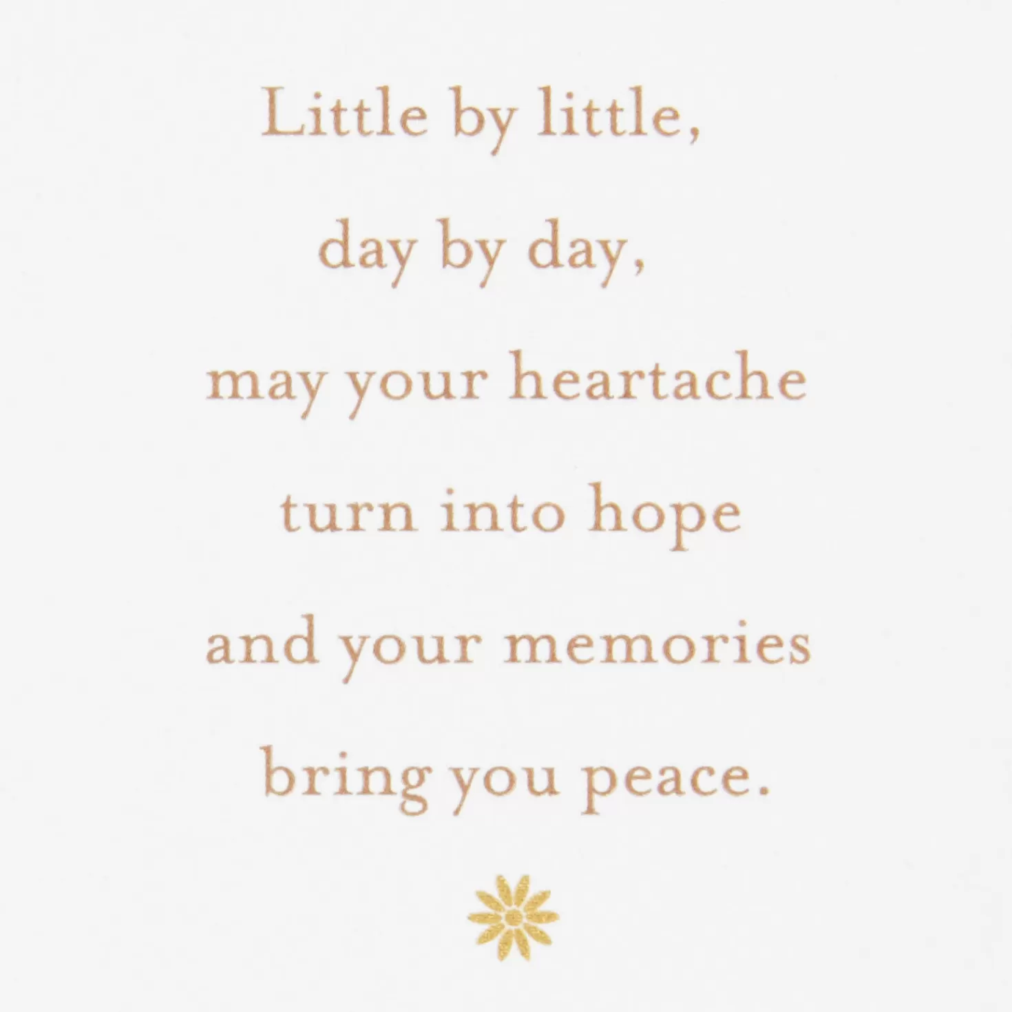 New May Your Memories Bring You Peace Sympathy Card Sympathy