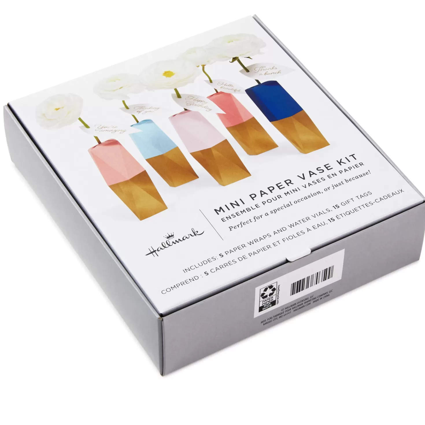 Best Mini Paper Vase Kit, Pack Of 5 With Water Vials And Leaf Tags Encouragement