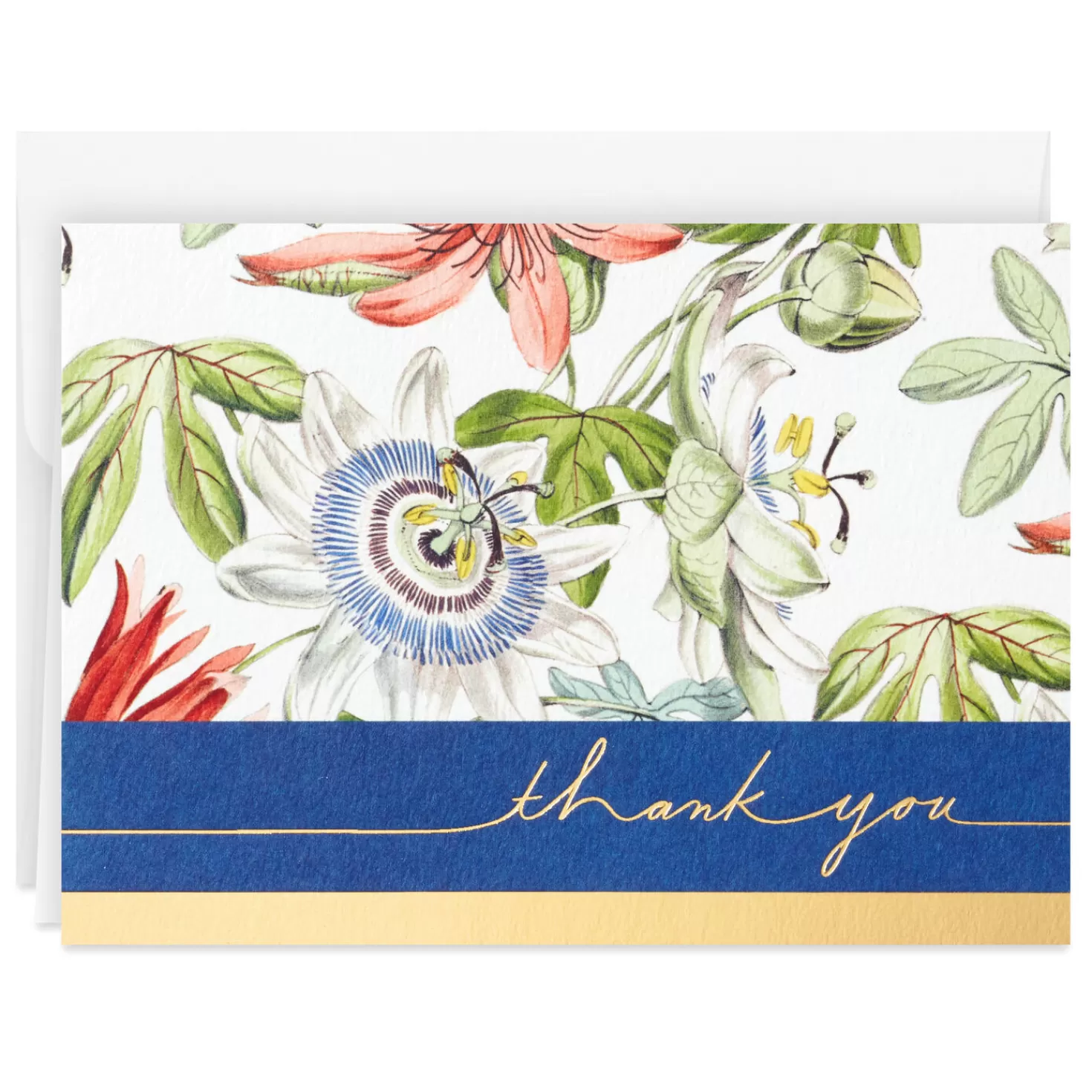 Fashion Mod Botanical Boxed Blank Thank-You Notes, Pack Of 10 Thank You
