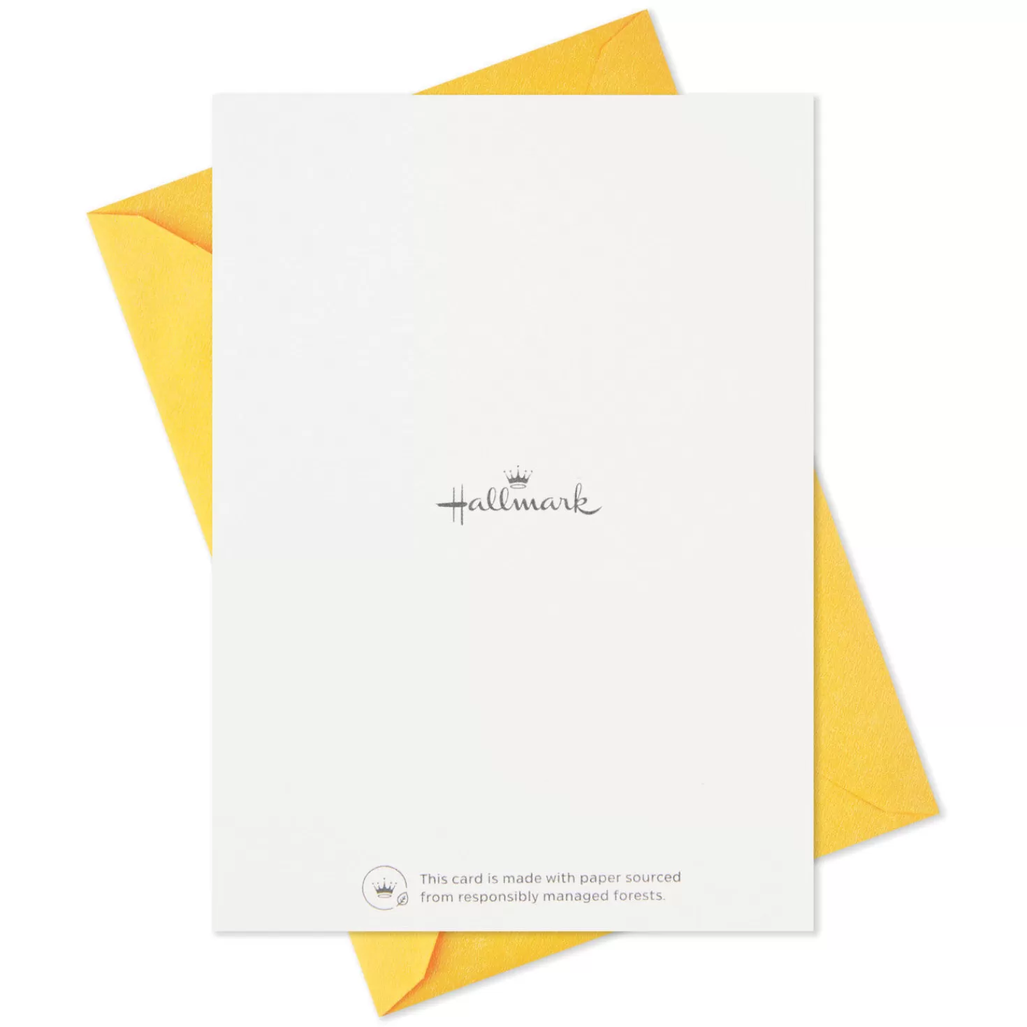 New Mom And Baby Animal Assortment Blank Thank-You Notes, Pack Of 48 Thank You