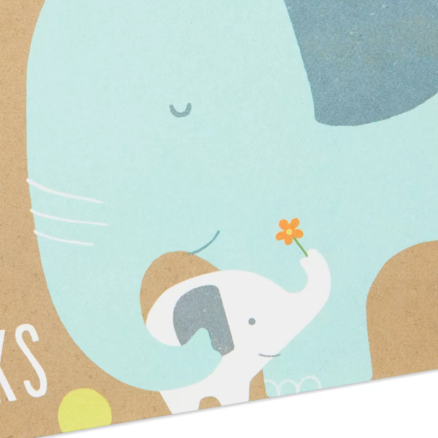 Discount Mom And Baby Elephant Blank Thank-You Notes, Box Of 20 Thank You