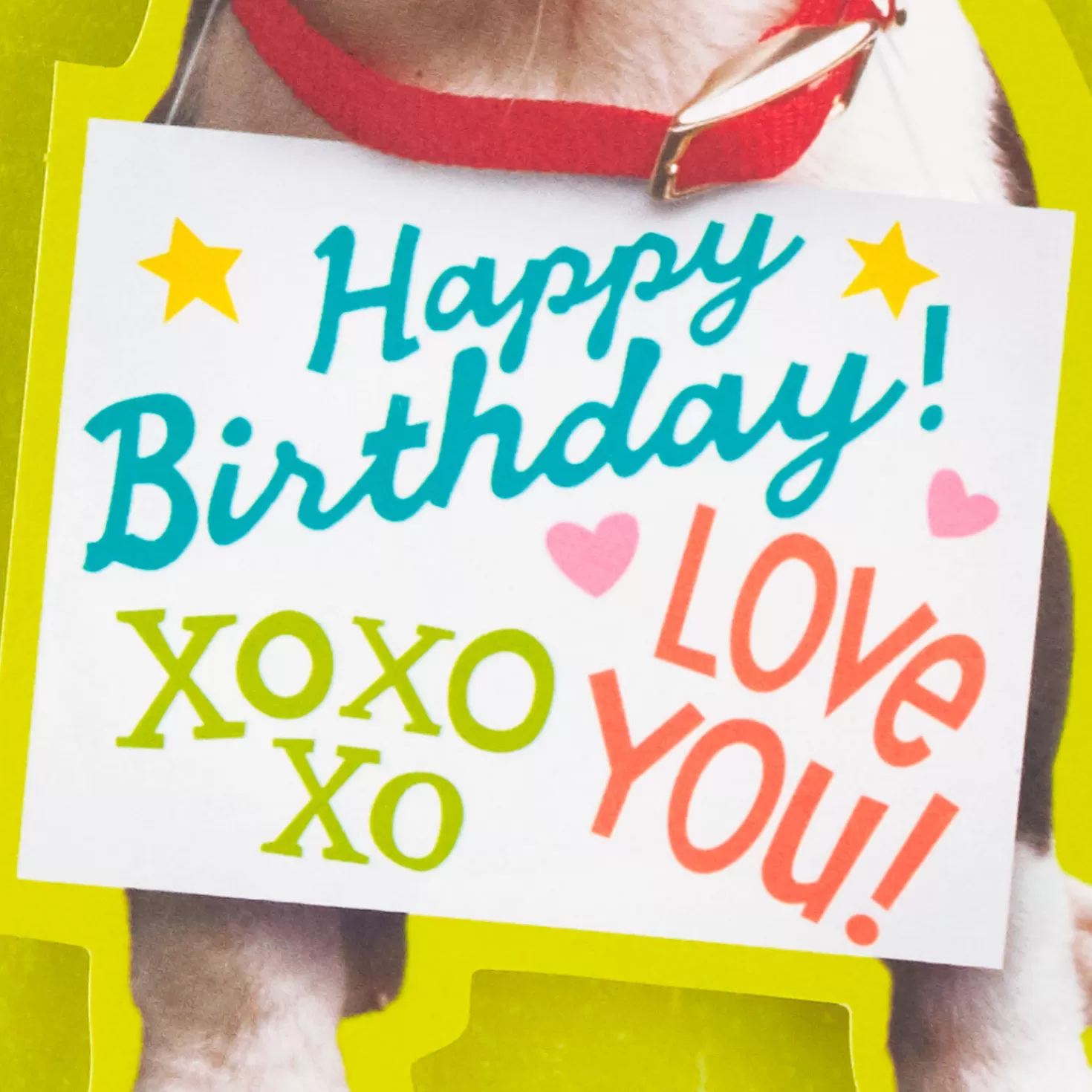 Birthday>Hallmark Money Or Puppy Funny Pop-Up Birthday Card For Grandson