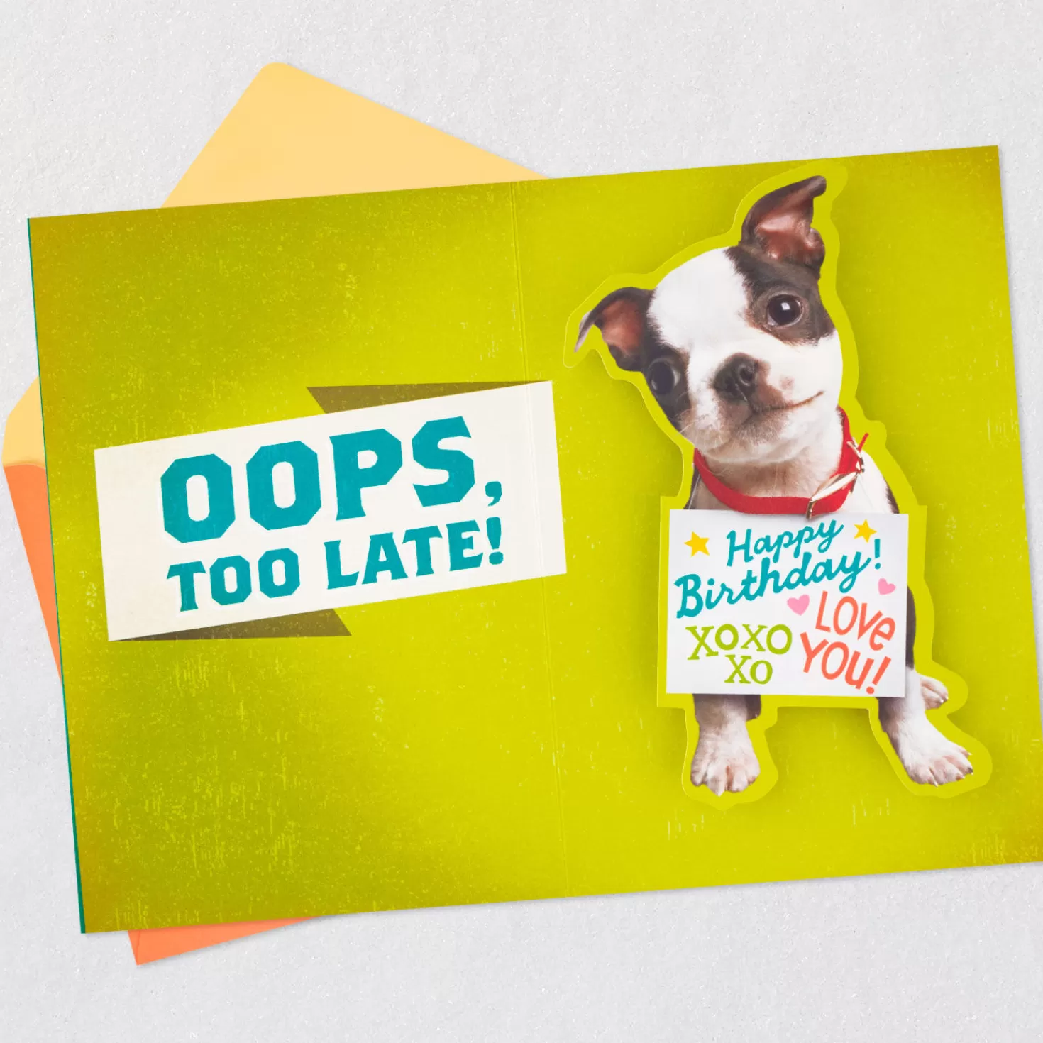 Birthday>Hallmark Money Or Puppy Funny Pop-Up Birthday Card For Grandson