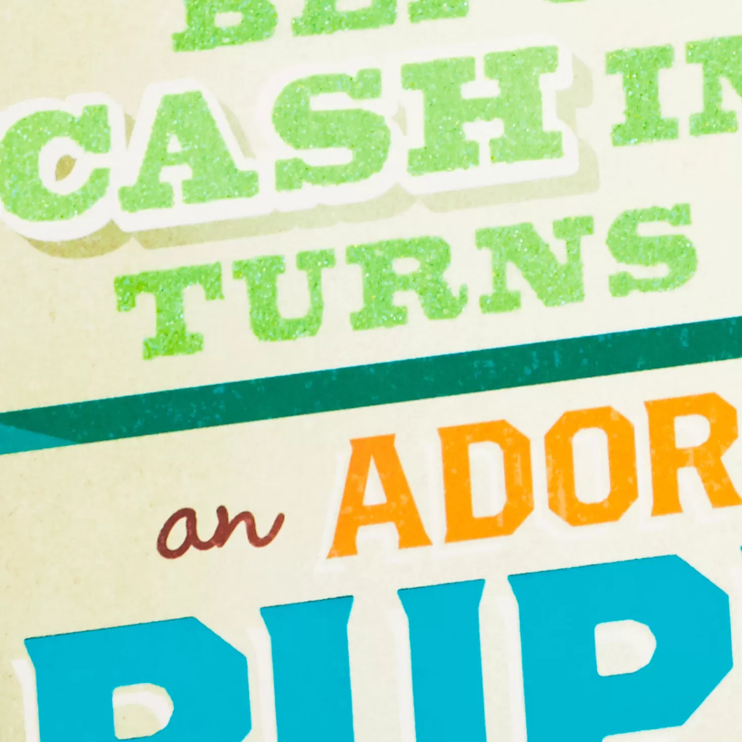 Birthday>Hallmark Money Or Puppy Funny Pop-Up Birthday Card For Grandson