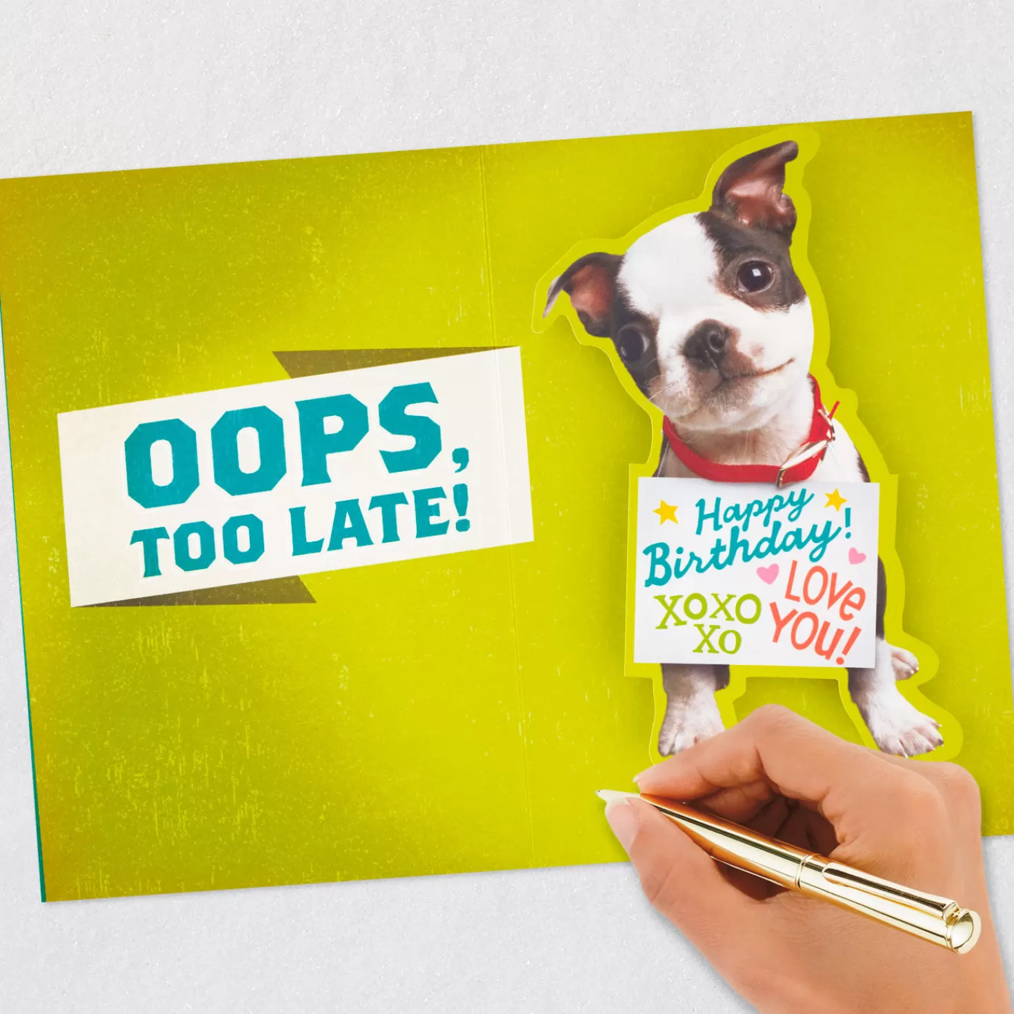 Birthday>Hallmark Money Or Puppy Funny Pop-Up Birthday Card For Grandson