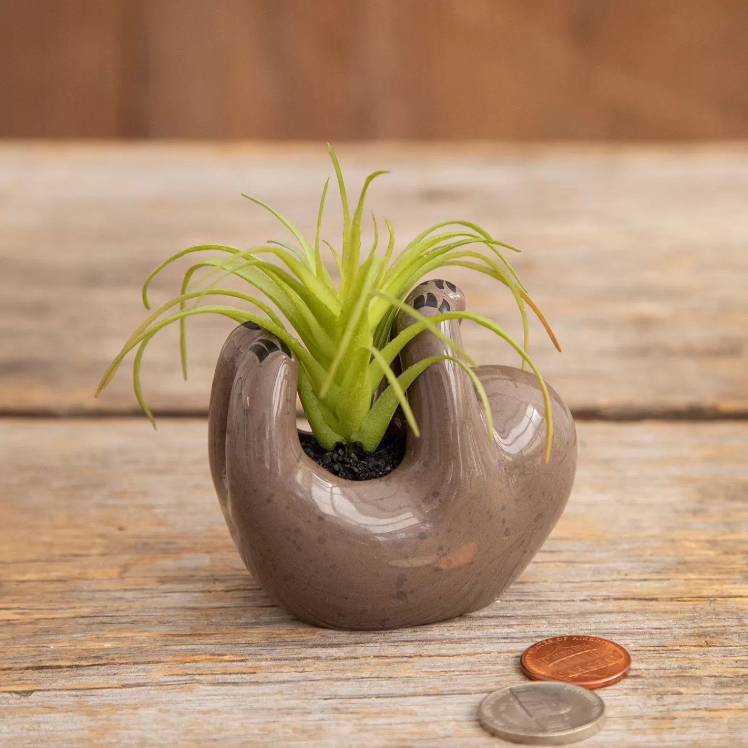 Sale Natural Life Faux Succulent In Sloth Planter, 2" Encouragement