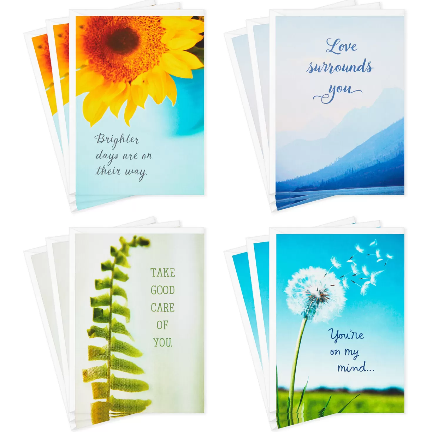 Cheap Nature Images Assorted Thinking Of You Cards, Pack Of 12 Get Well