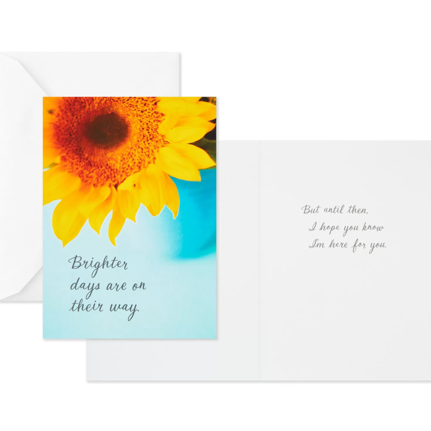 Cheap Nature Images Assorted Thinking Of You Cards, Pack Of 12 Get Well