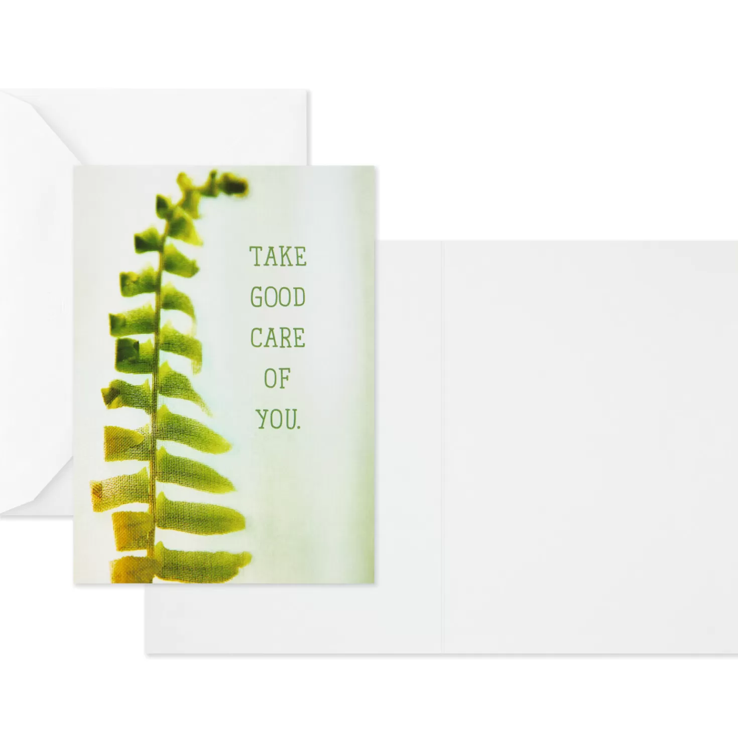 Cheap Nature Images Assorted Thinking Of You Cards, Pack Of 12 Get Well