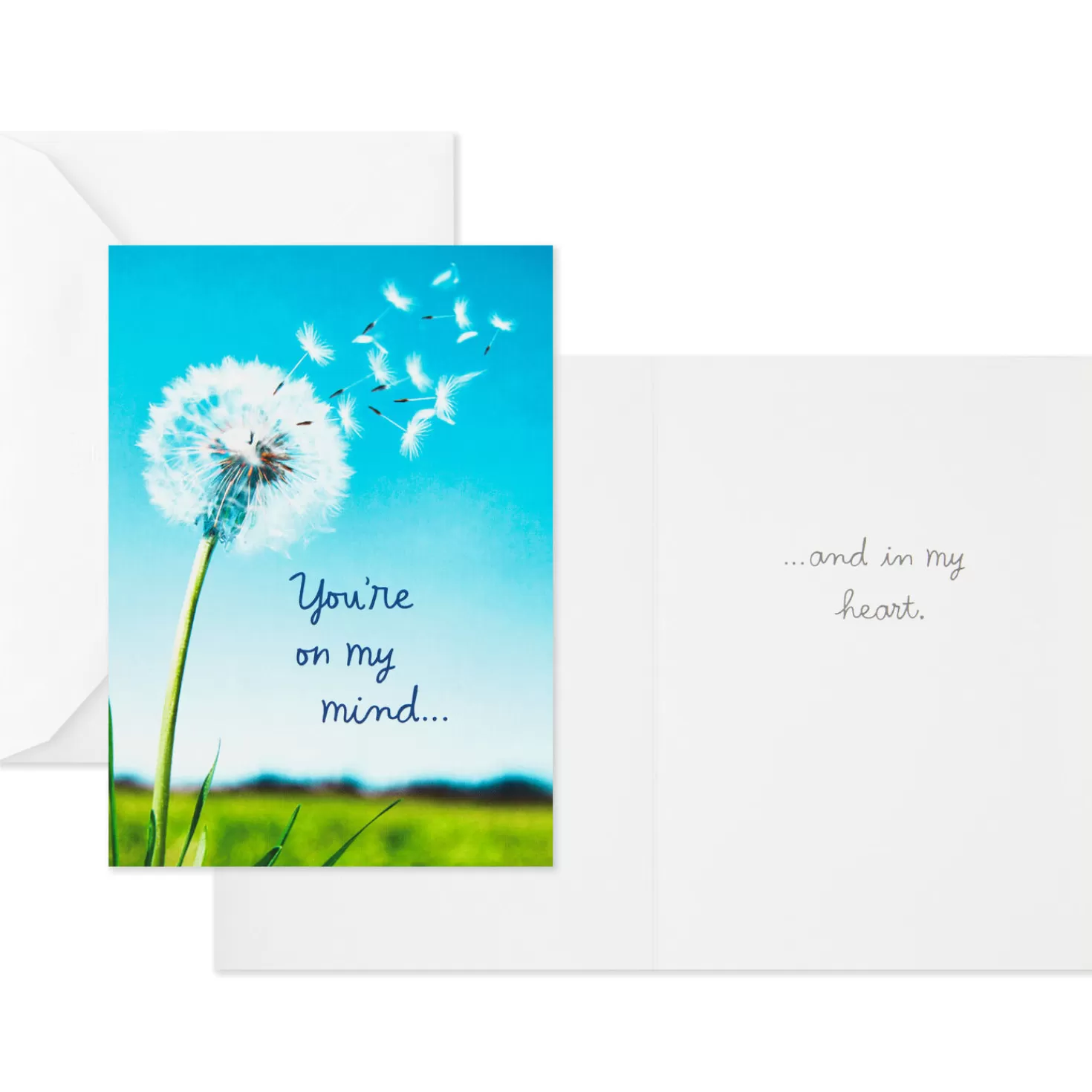 Cheap Nature Images Assorted Thinking Of You Cards, Pack Of 12 Get Well
