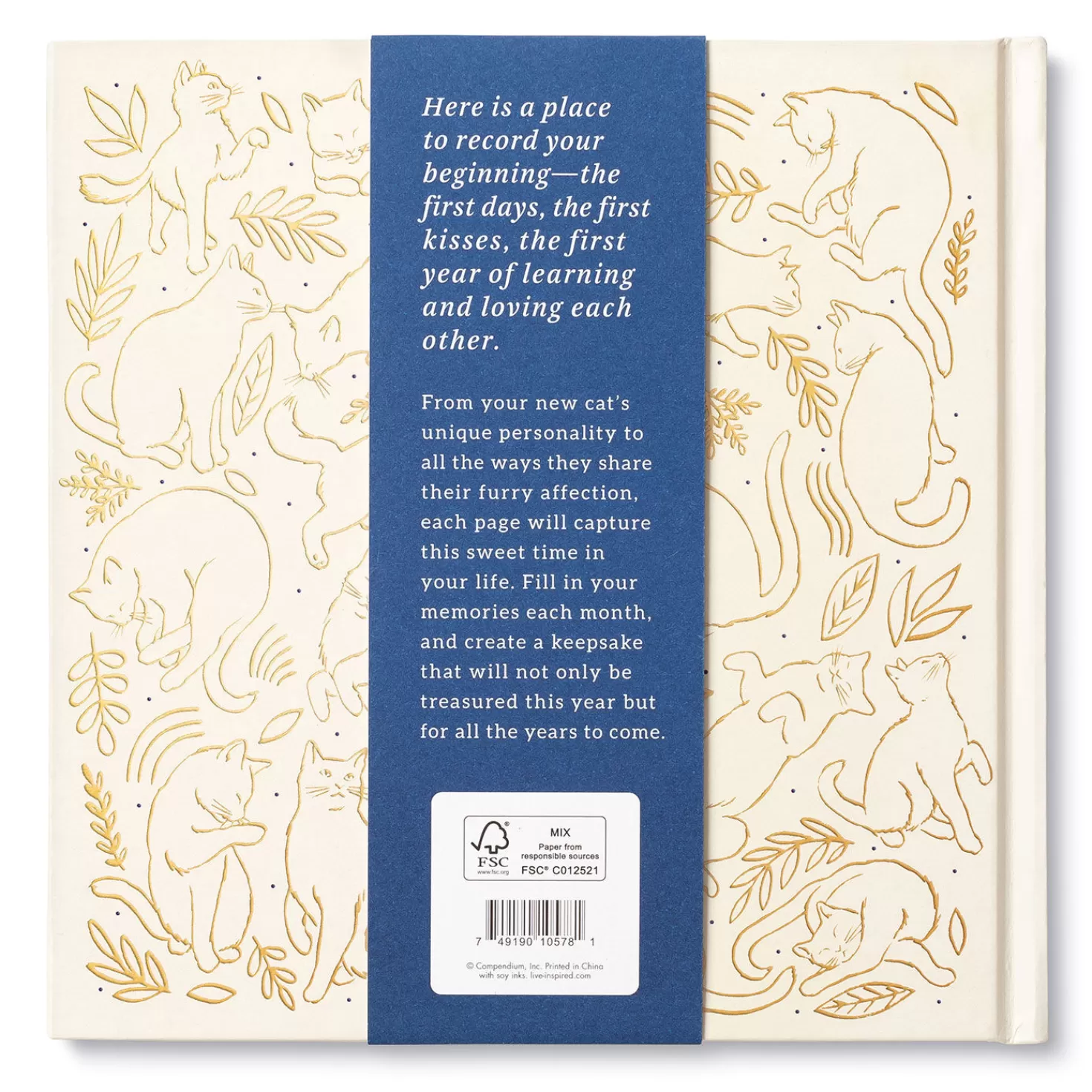 Flash Sale Our First Year Together: A Memory Keeper For Your New Cat Book Congratulations