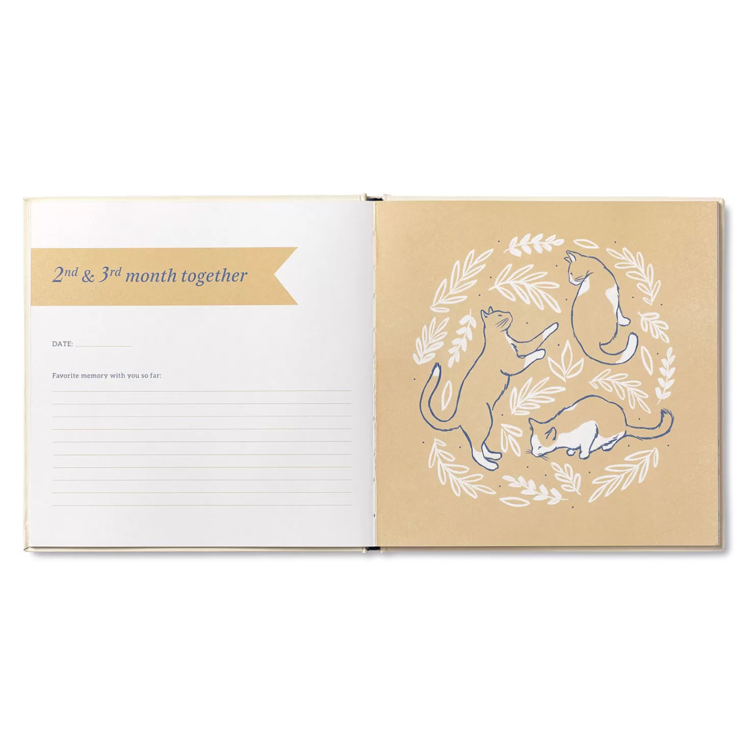 Flash Sale Our First Year Together: A Memory Keeper For Your New Cat Book Congratulations