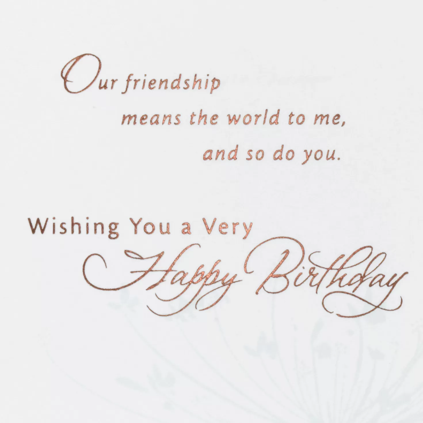 Birthday>Hallmark Our Friendship Means The World To Me Birthday Card