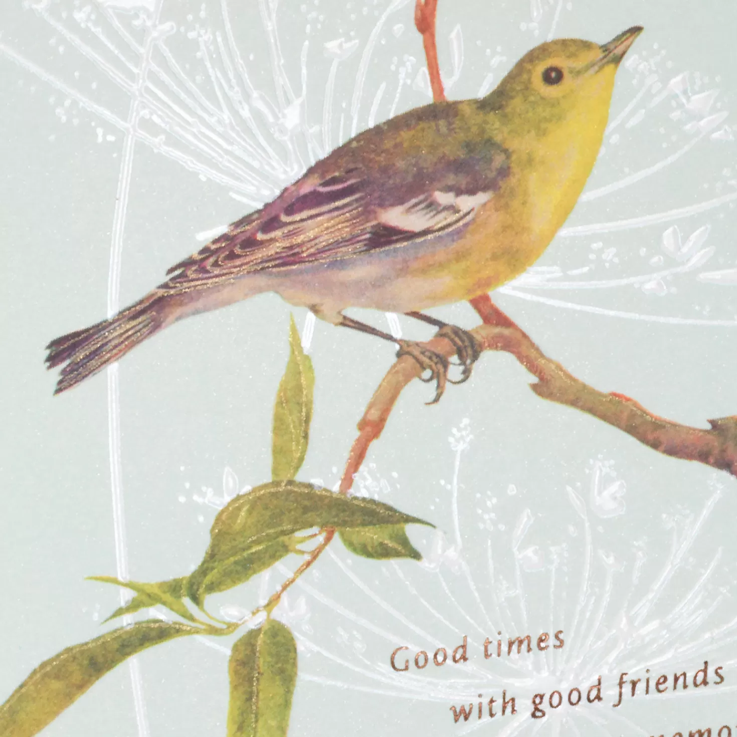 Birthday>Hallmark Our Friendship Means The World To Me Birthday Card