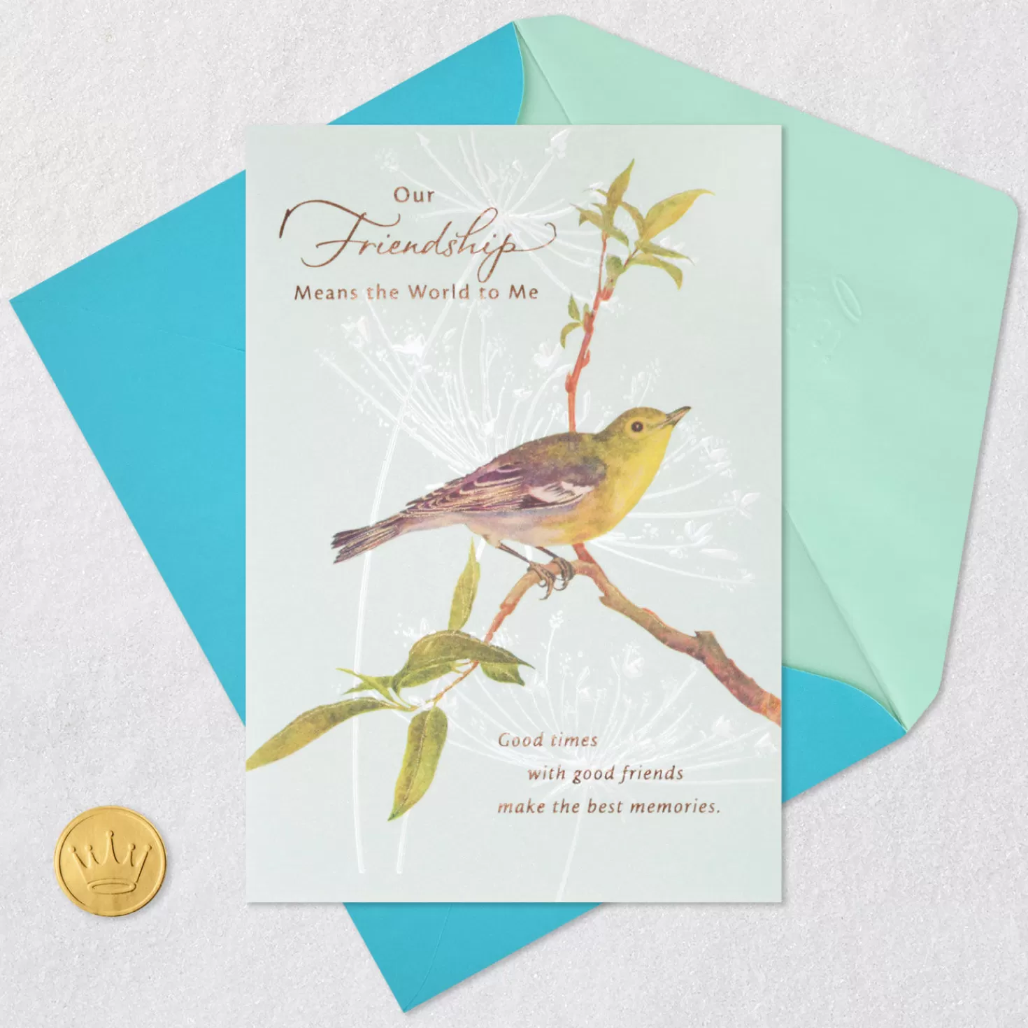 Birthday>Hallmark Our Friendship Means The World To Me Birthday Card