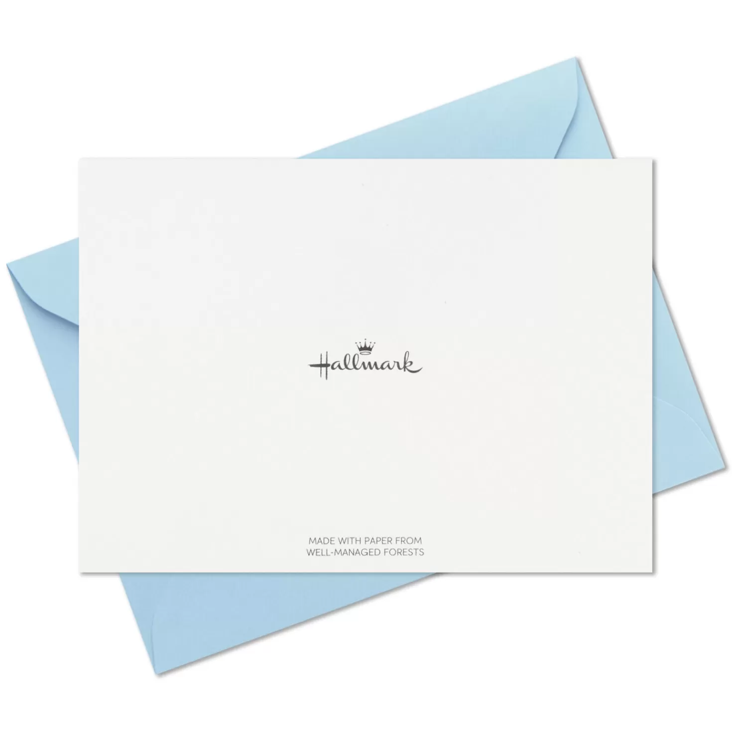 Clearance Painted Pastels Assorted Blank Note Cards, Box Of 24 Thank You
