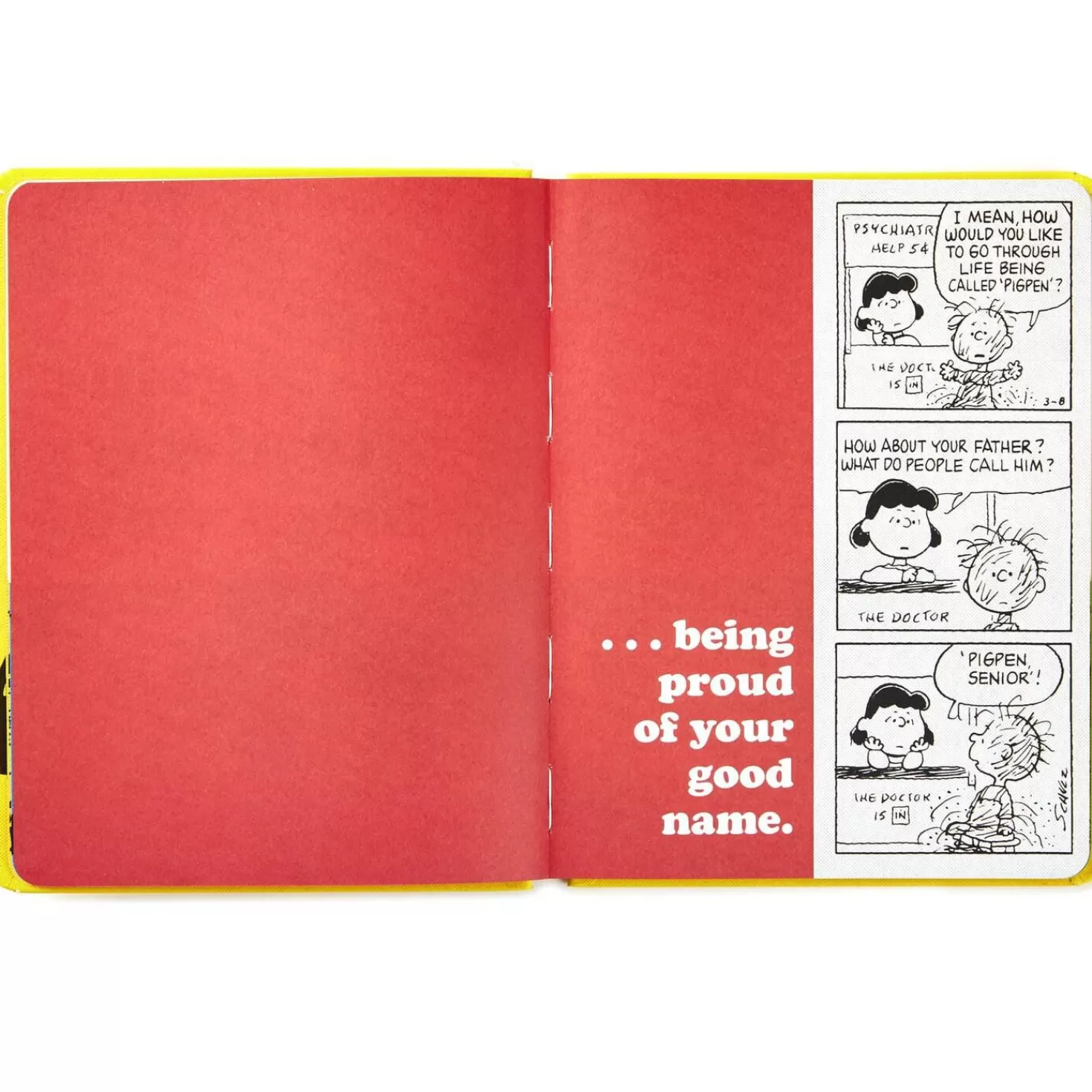 Grandparents Day (9/10)>Hallmark Peanuts® Family Is… Always Being Together Book