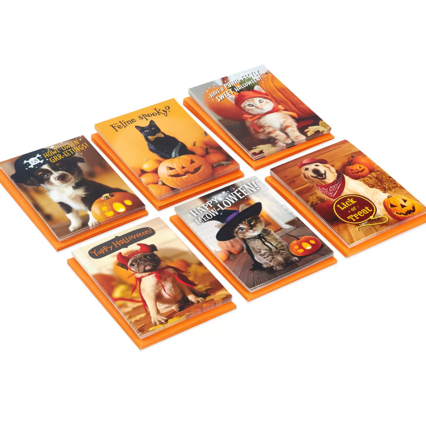 Halloween (10/31)>Hallmark Pet Puns Boxed Halloween Cards Assortment, Pack Of 48