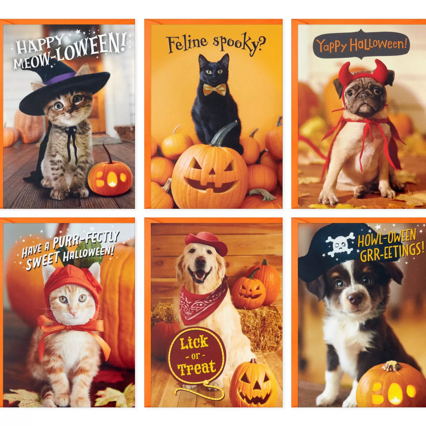Halloween (10/31)>Hallmark Pet Puns Boxed Halloween Cards Assortment, Pack Of 48