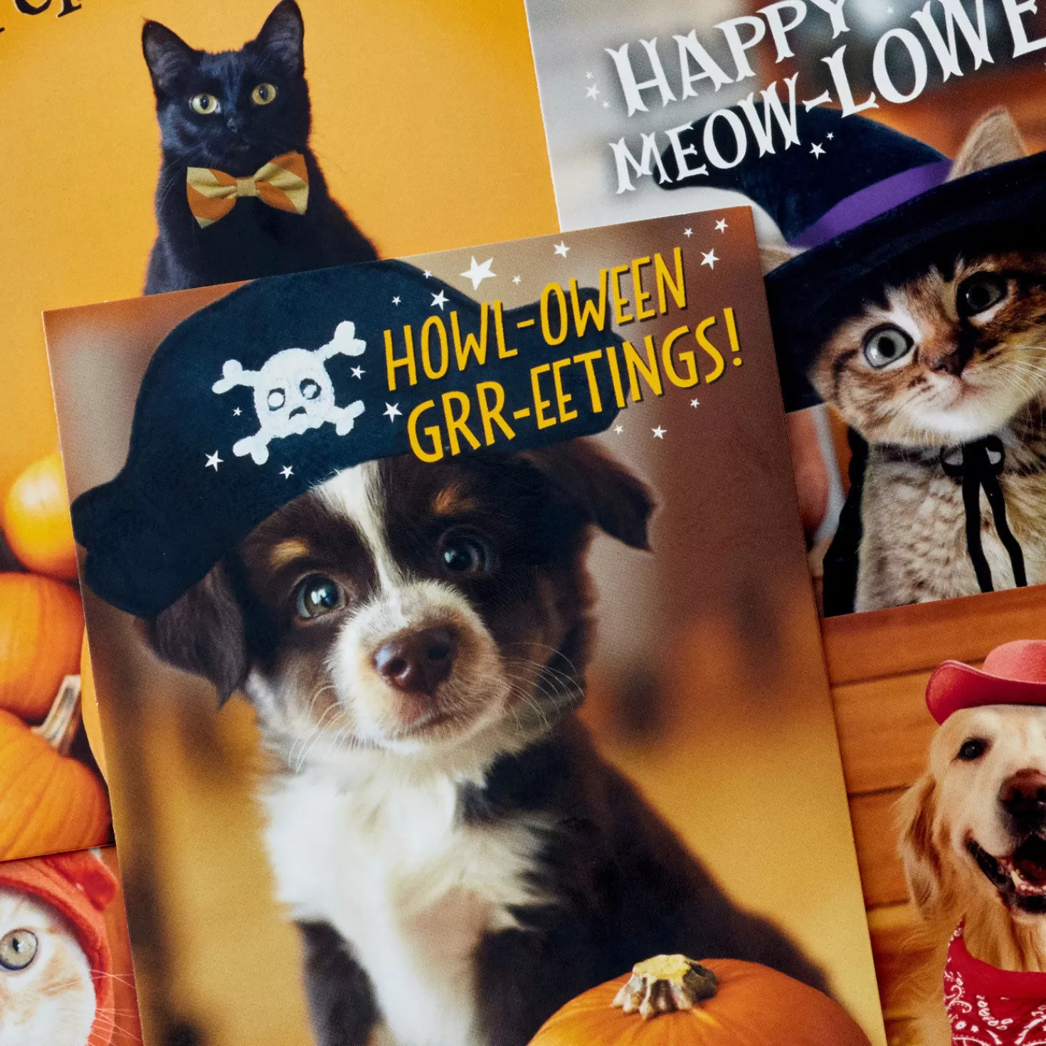 Halloween (10/31)>Hallmark Pet Puns Boxed Halloween Cards Assortment, Pack Of 48