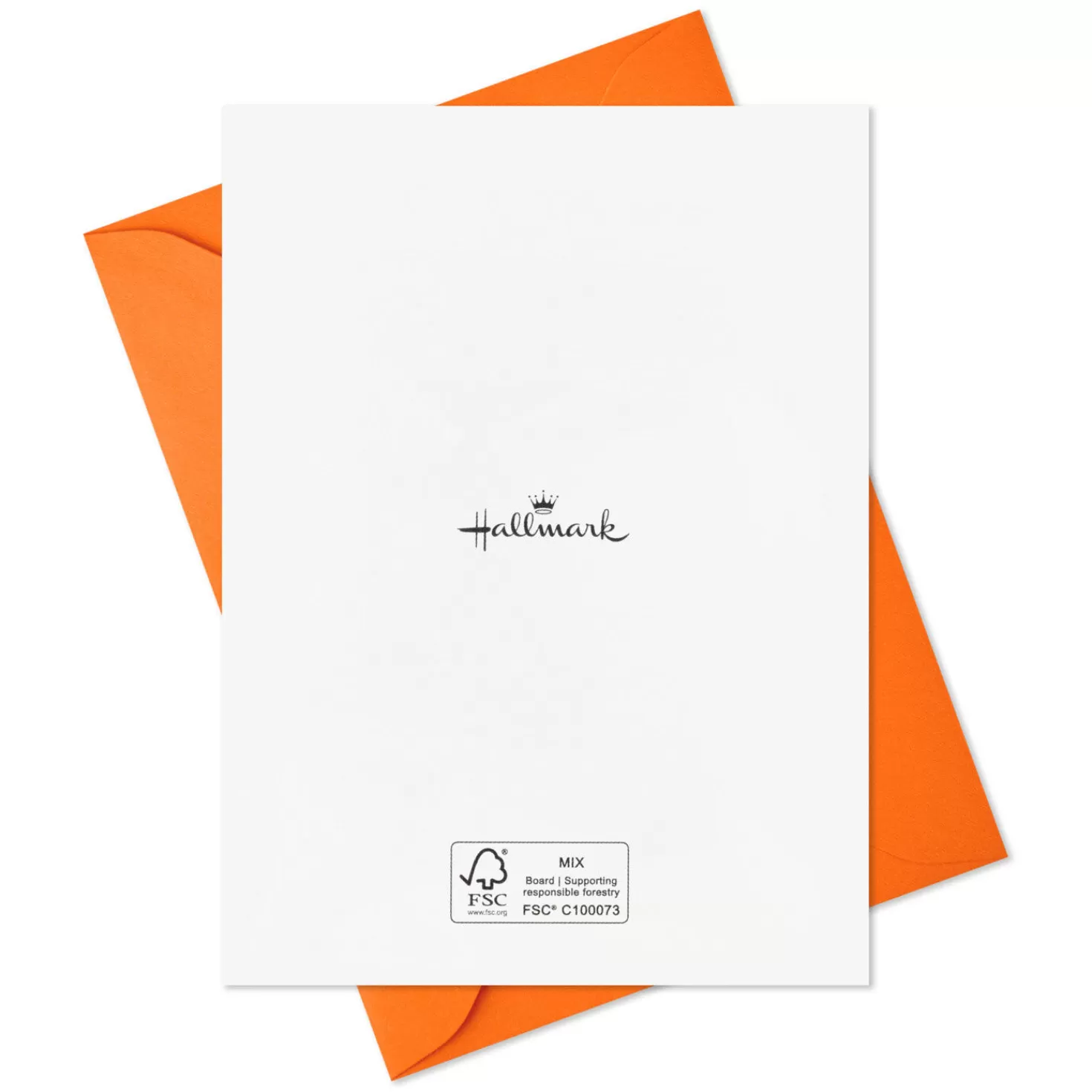 Halloween (10/31)>Hallmark Pet Puns Boxed Halloween Cards Assortment, Pack Of 48