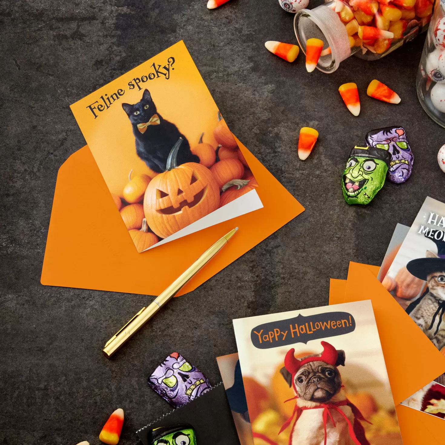 Halloween (10/31)>Hallmark Pet Puns Boxed Halloween Cards Assortment, Pack Of 48