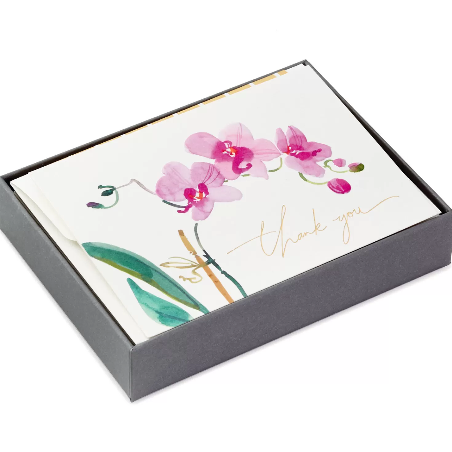 Fashion Pink Orchid Blank Thank-You Notes, Box Of 10 Thank You