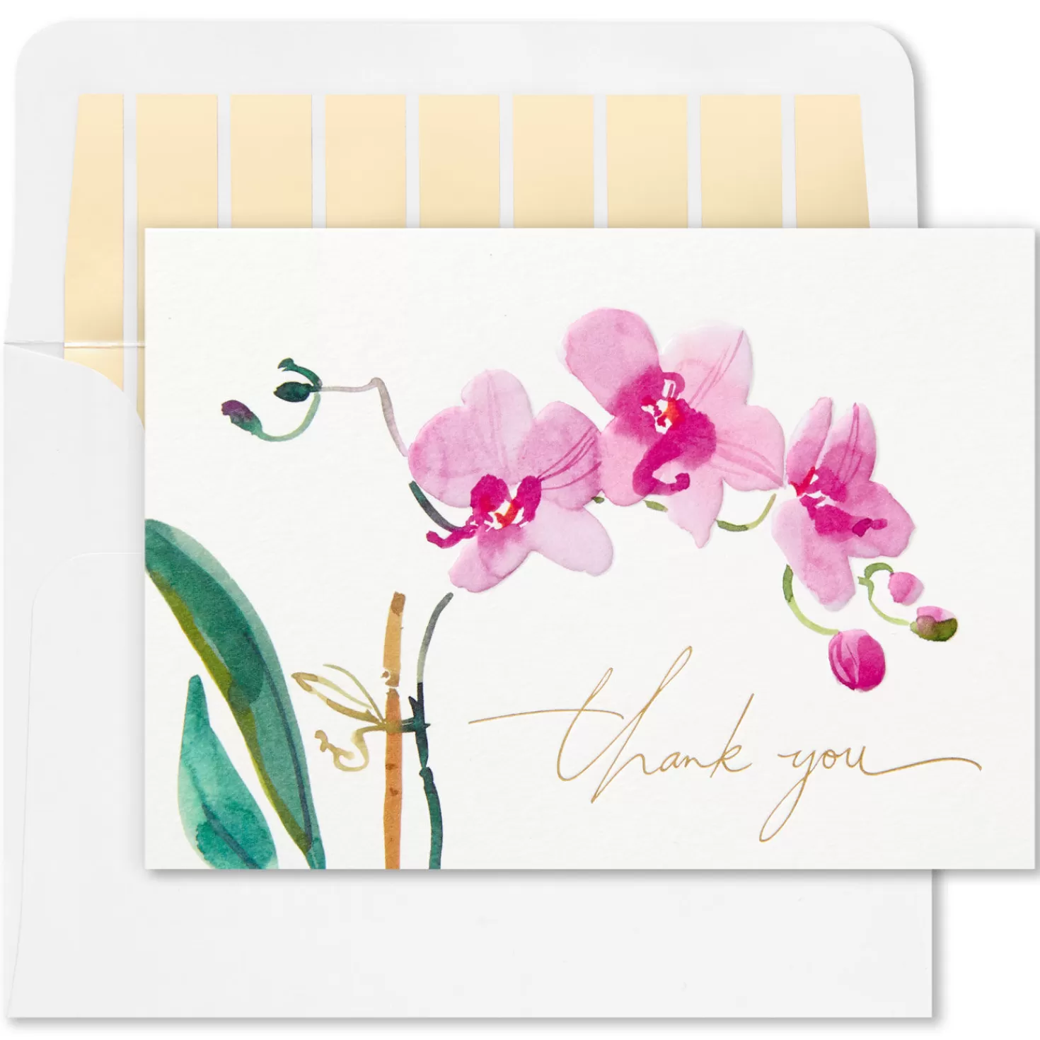 Fashion Pink Orchid Blank Thank-You Notes, Box Of 10 Thank You