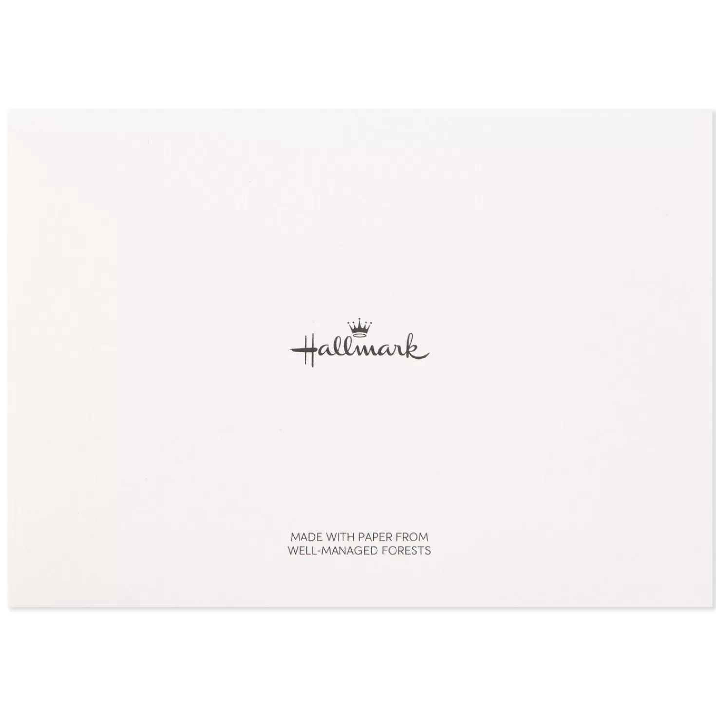 New Polished Gold Assorted Blank Thank-You Notes, Box Of 50 Wedding