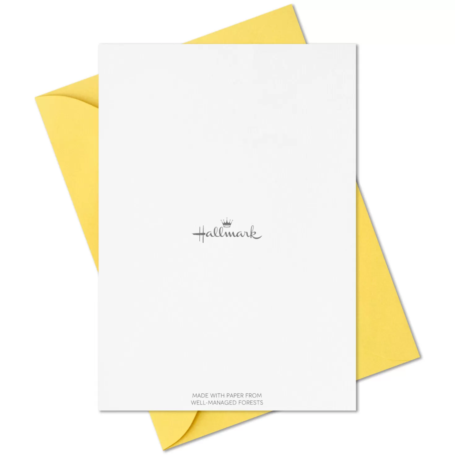 Fashion Primary Colors Assorted Blank Thank-You Notes, Pack Of 48 Thank You