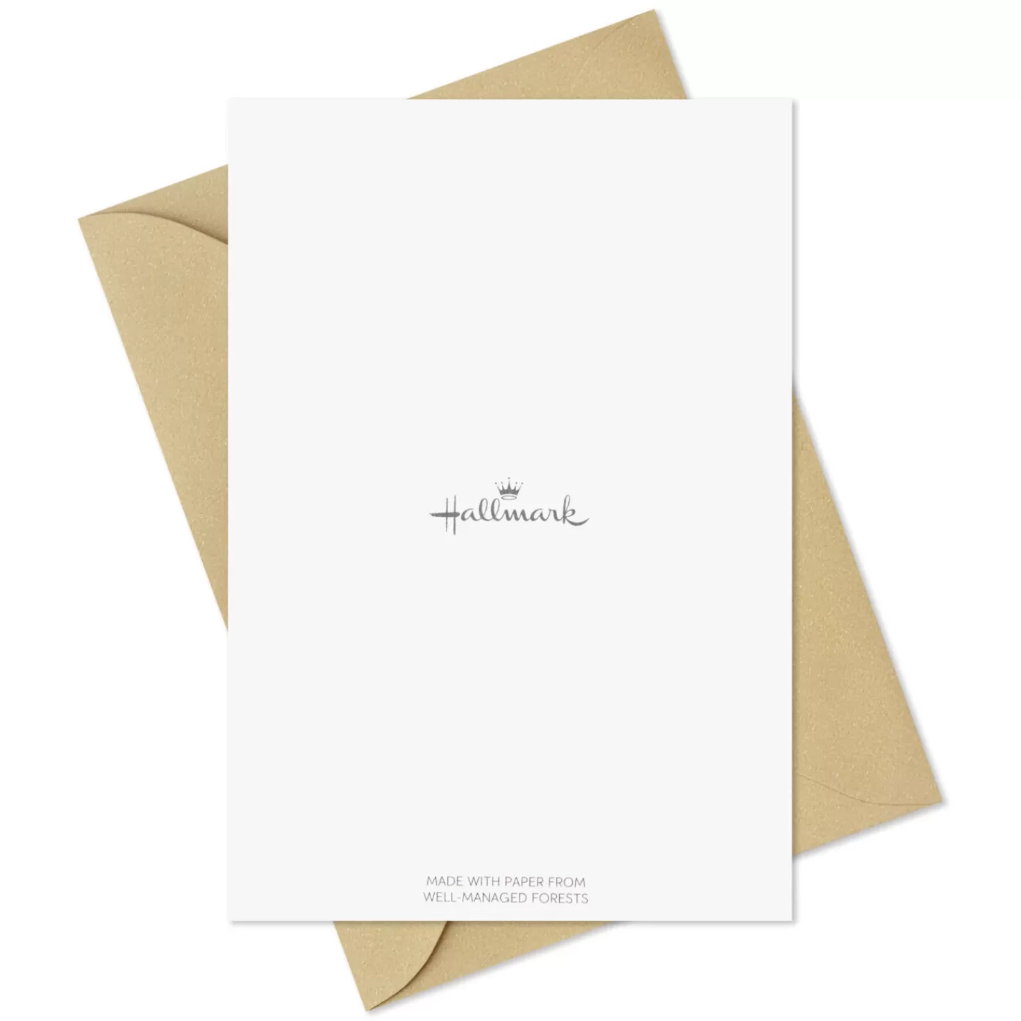 Clearance Rustic Chic Assorted Blank Thank-You Notes, Pack Of 48 Wedding