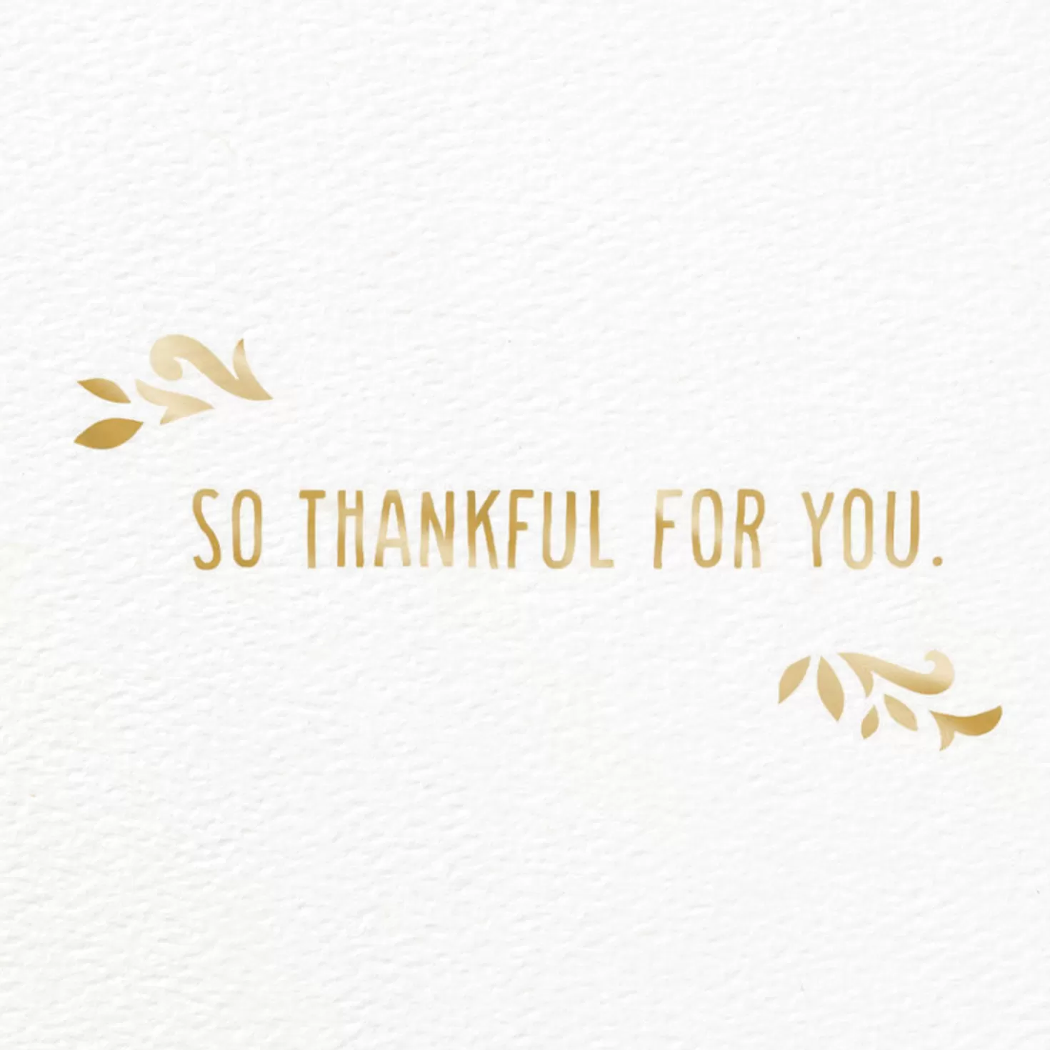 Fashion So Thankful For You Card Thank You