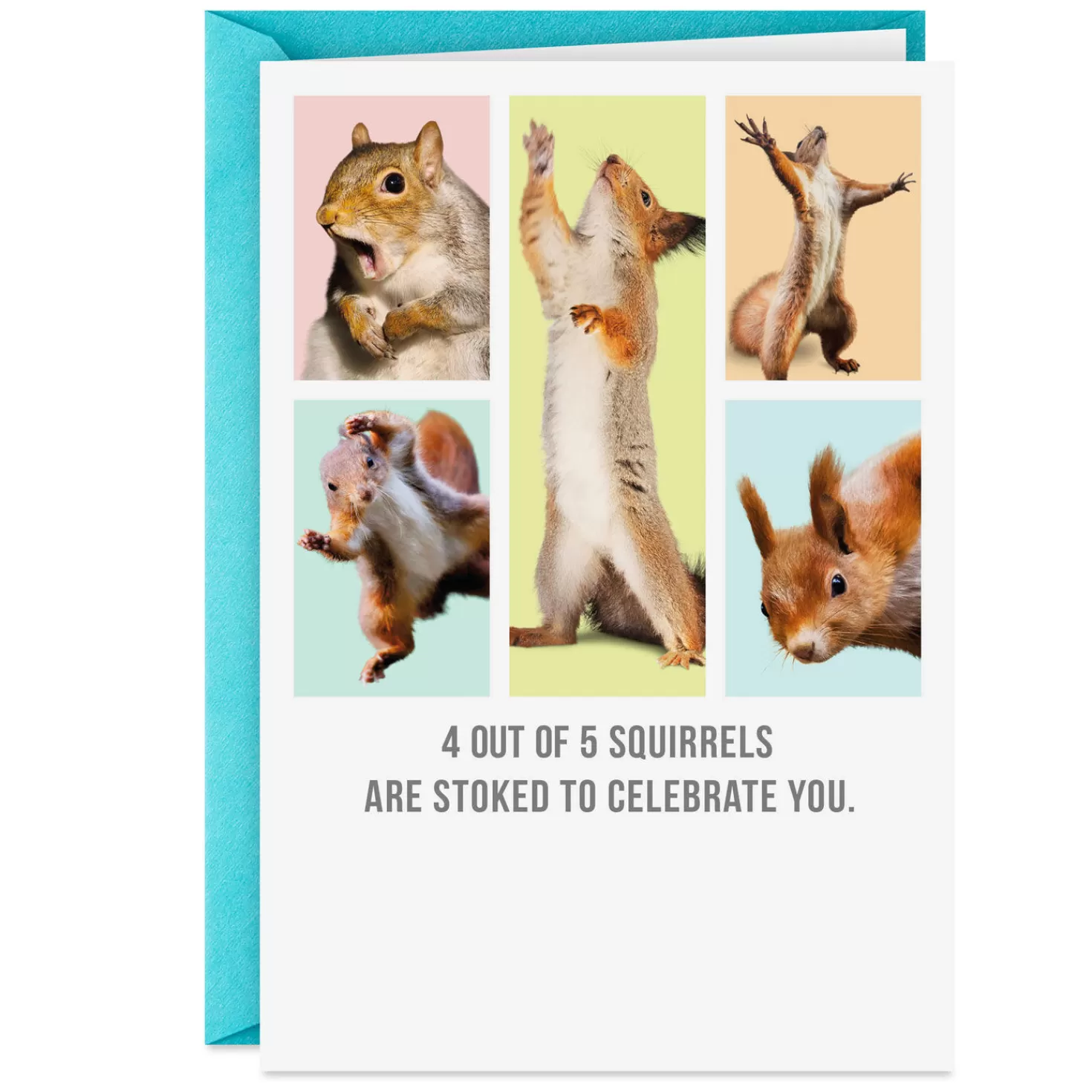 Online Squirrels Celebrating You Funny Card Congratulations