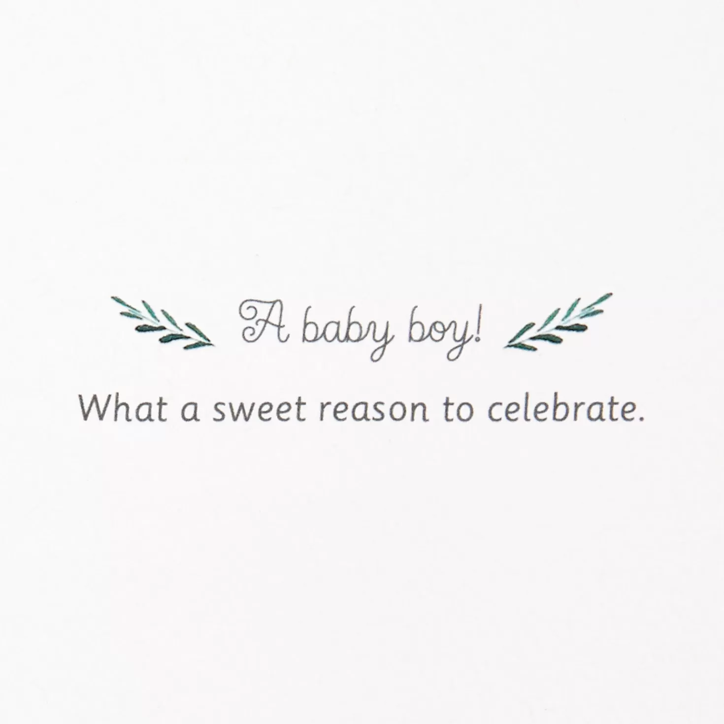 Baby>Hallmark Sweet Celebration New Baby Boy Card