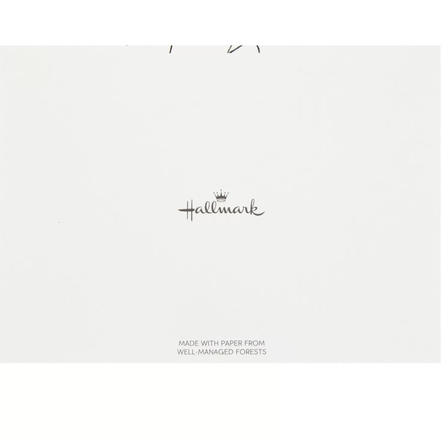 Hot Sweet Thanks Illustrated Flowers Blank Thank You Notes, Box Of 10 Thank You