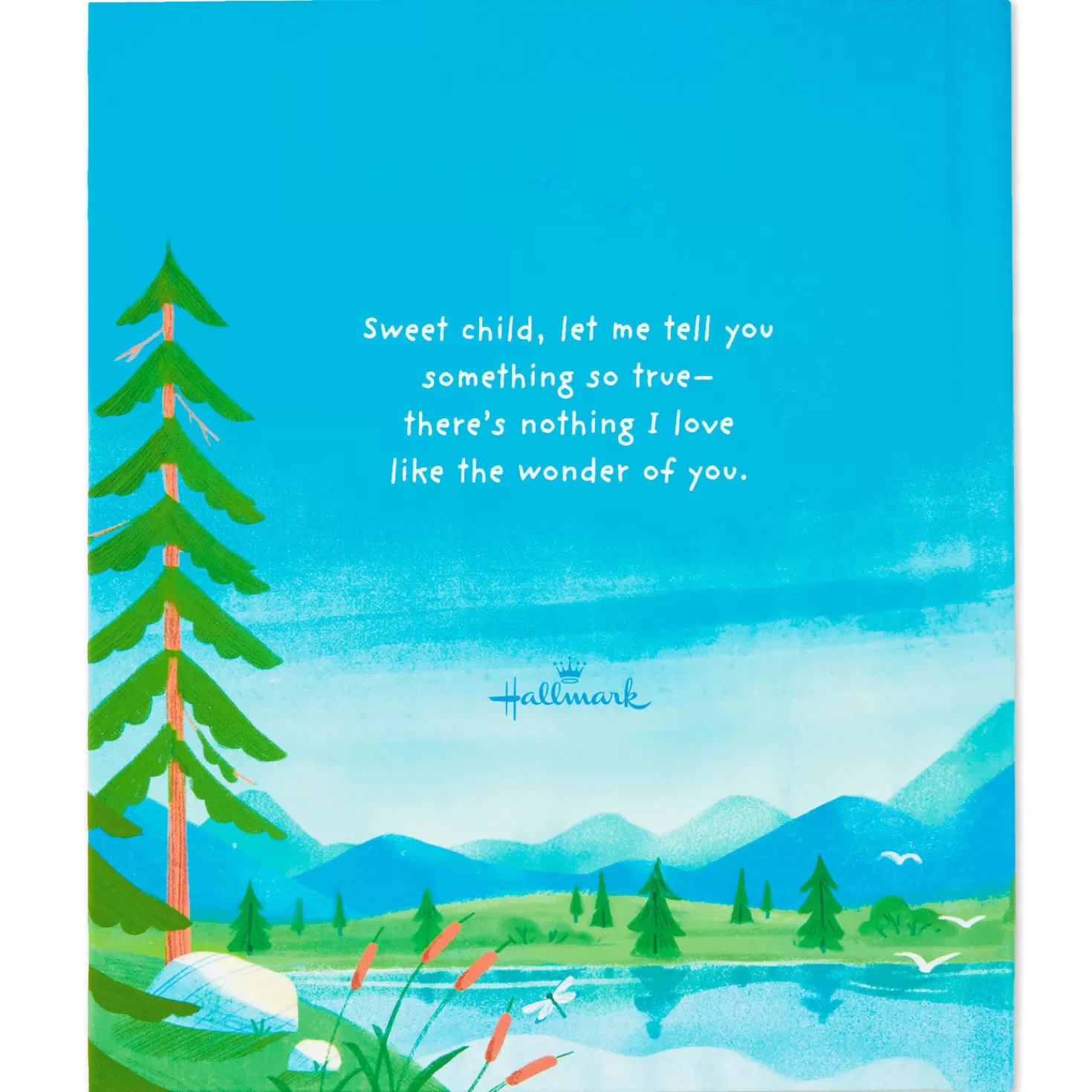 Baby>Hallmark The Wonder Of You Recordable Storybook