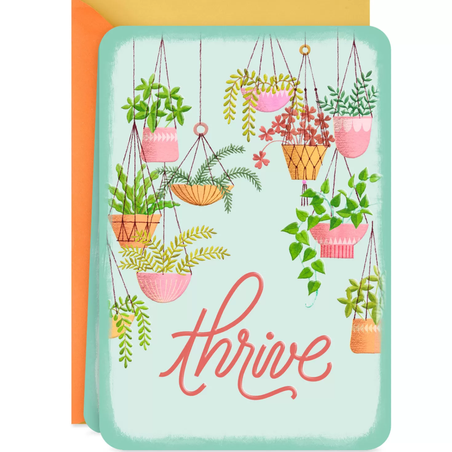 Online Thrive Assorted Plants Blank Card Encouragement